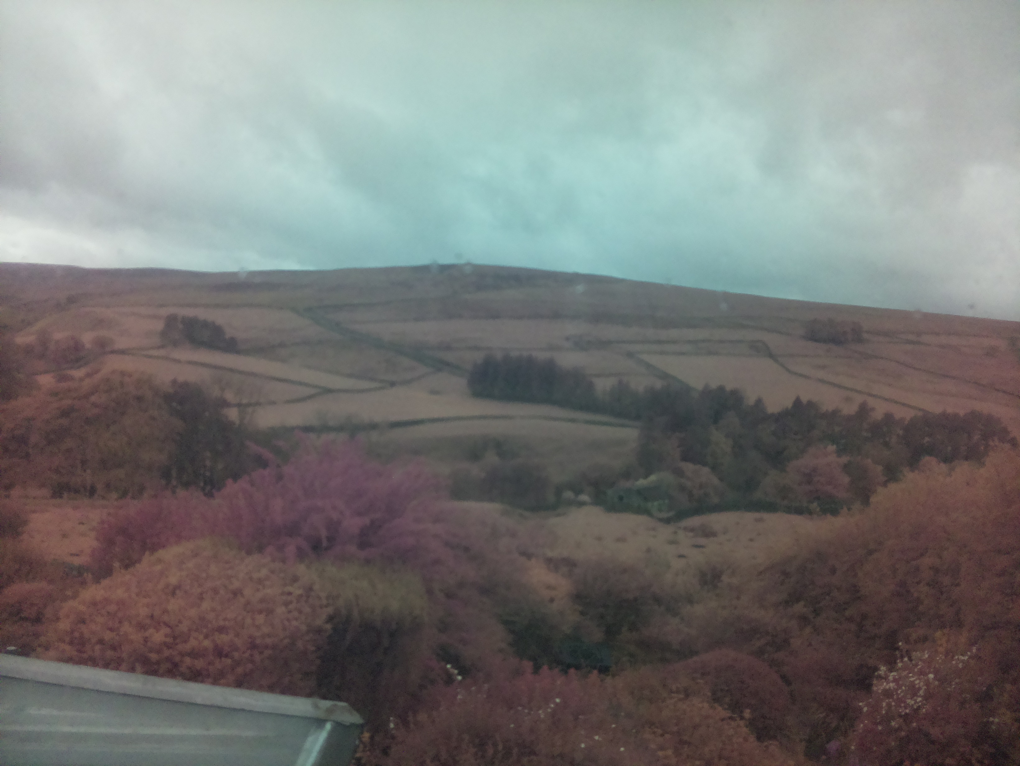 raspi webcam photo