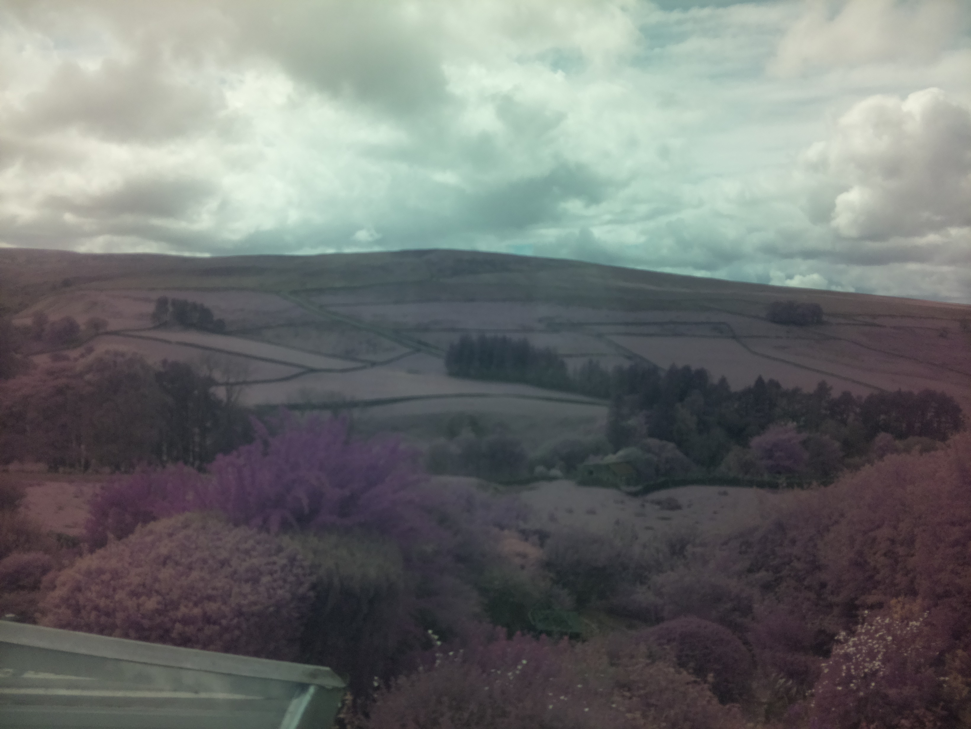 raspi webcam photo