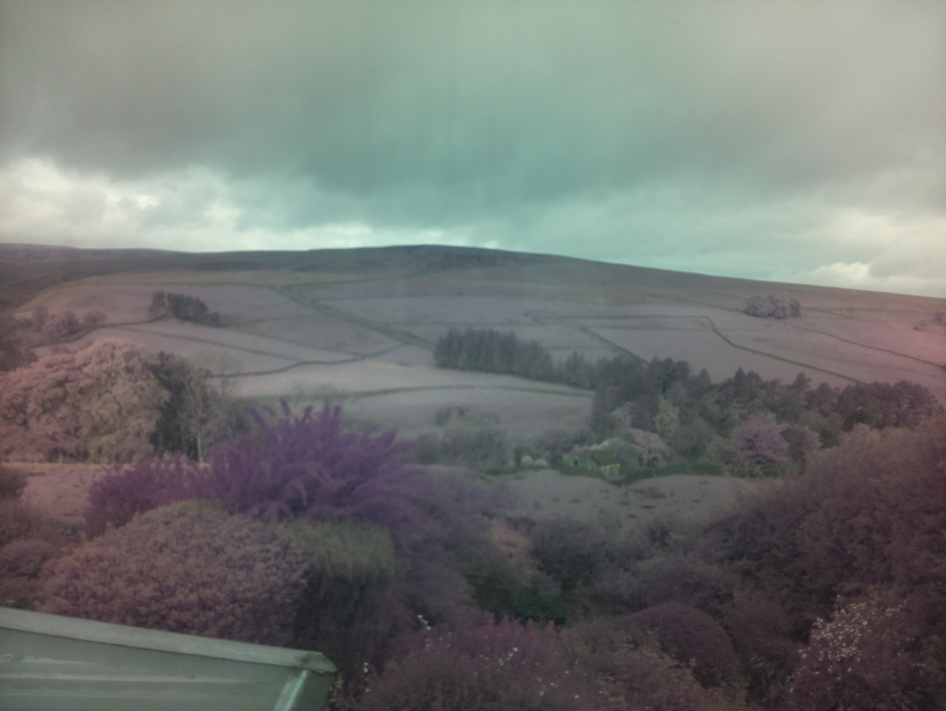 raspi webcam photo