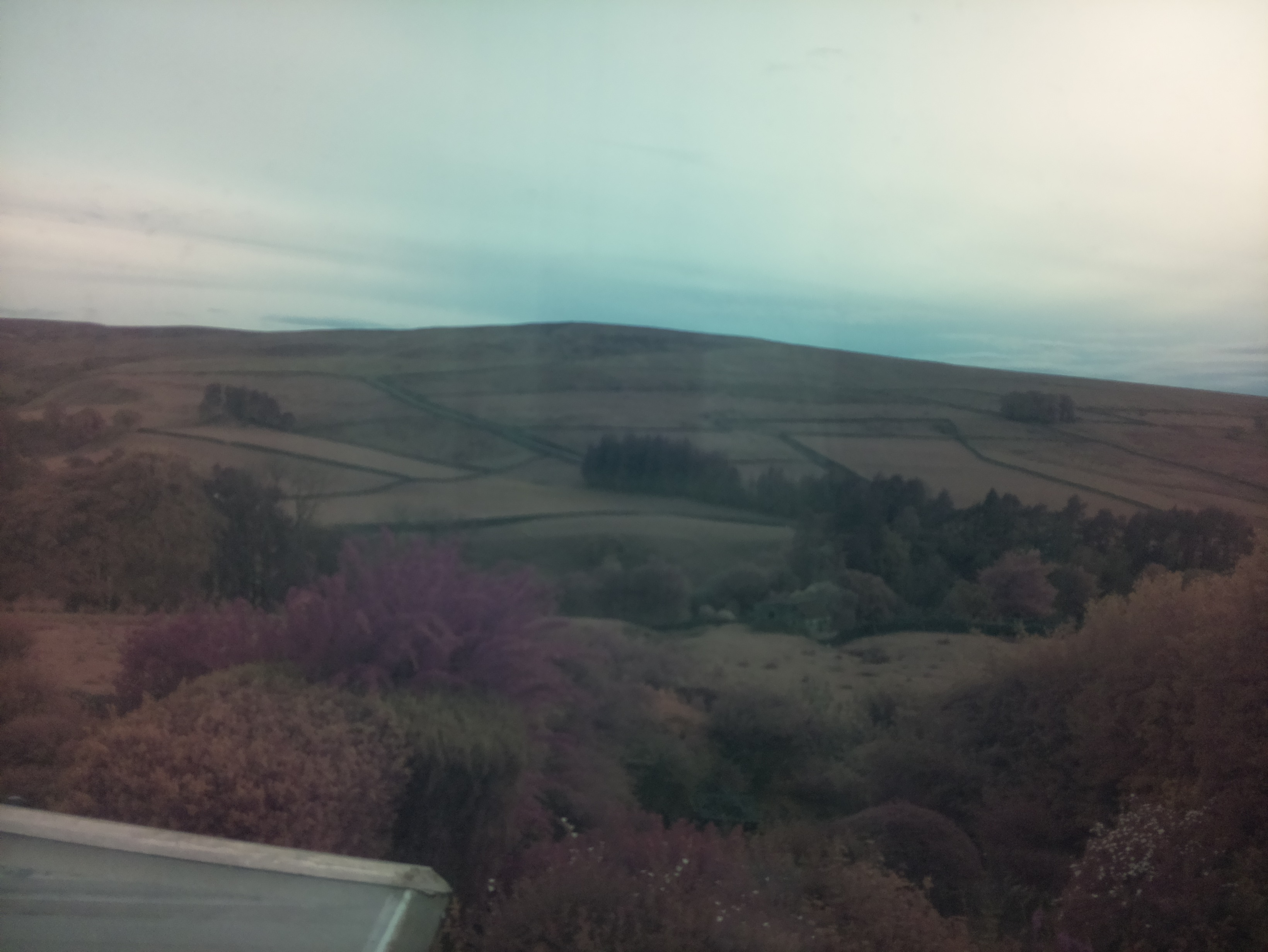 raspi webcam photo