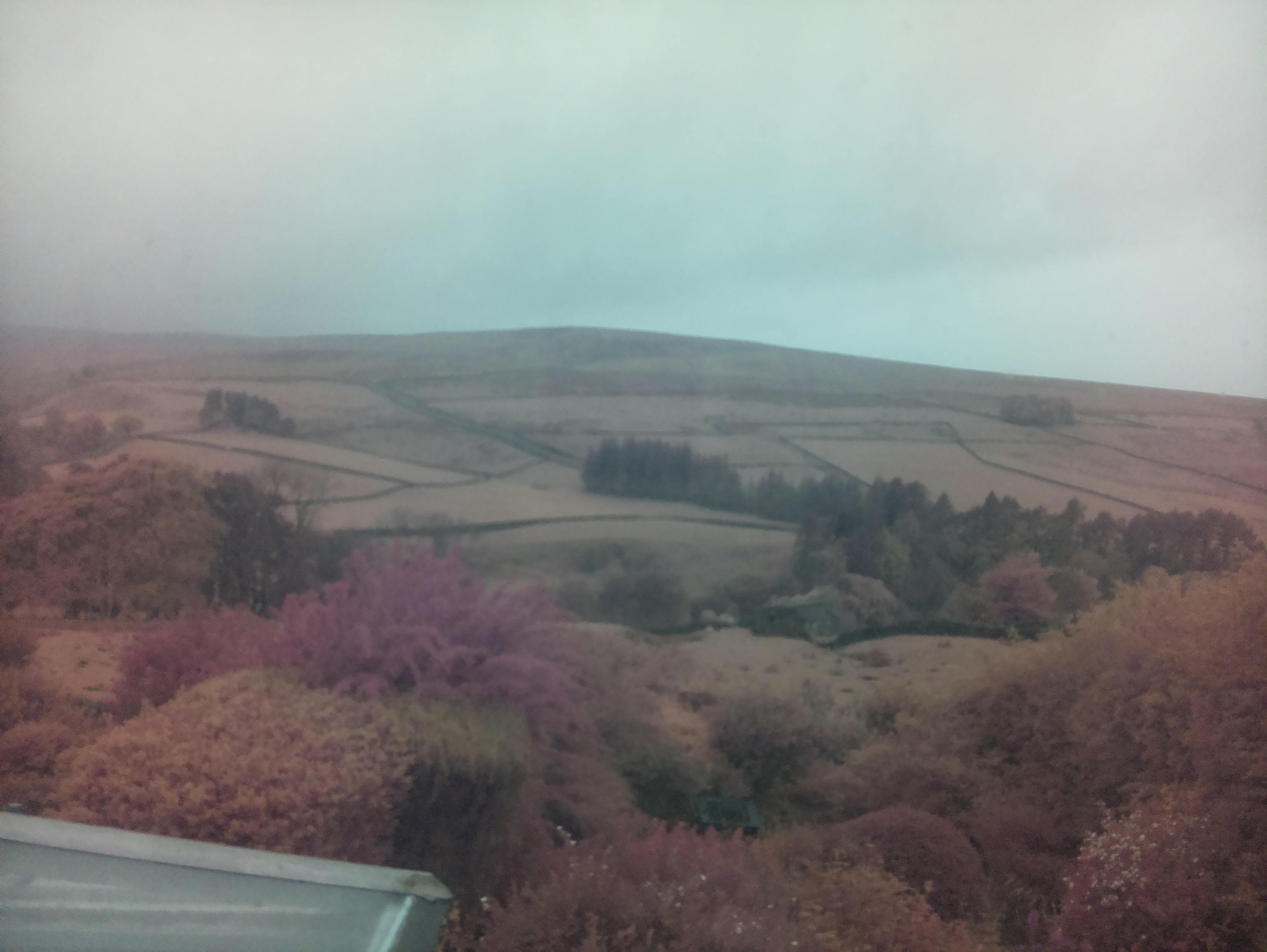 raspi webcam photo