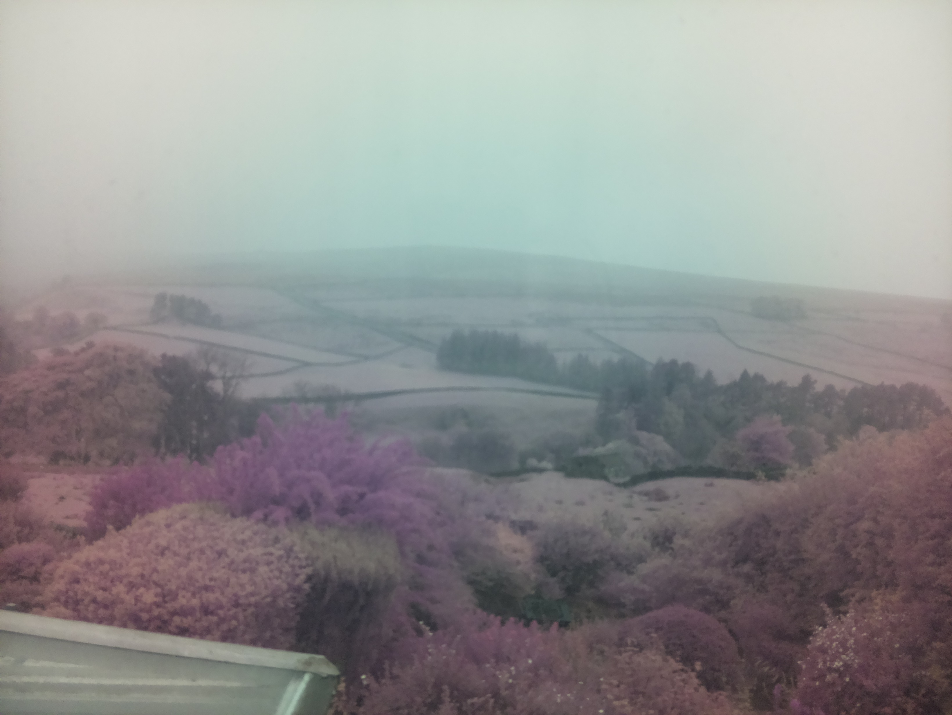 raspi webcam photo
