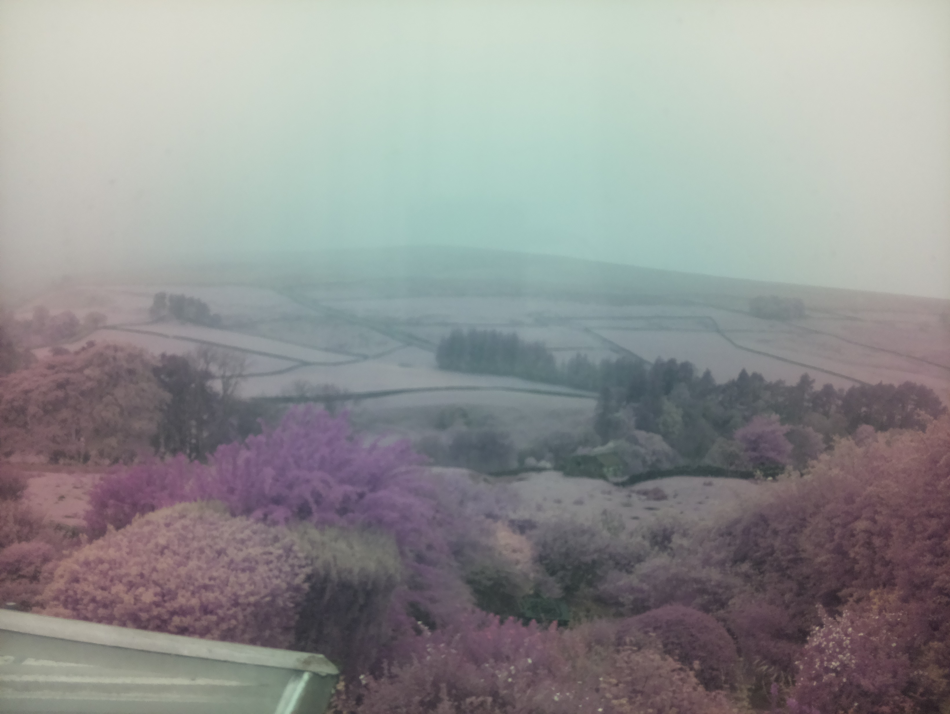 raspi webcam photo