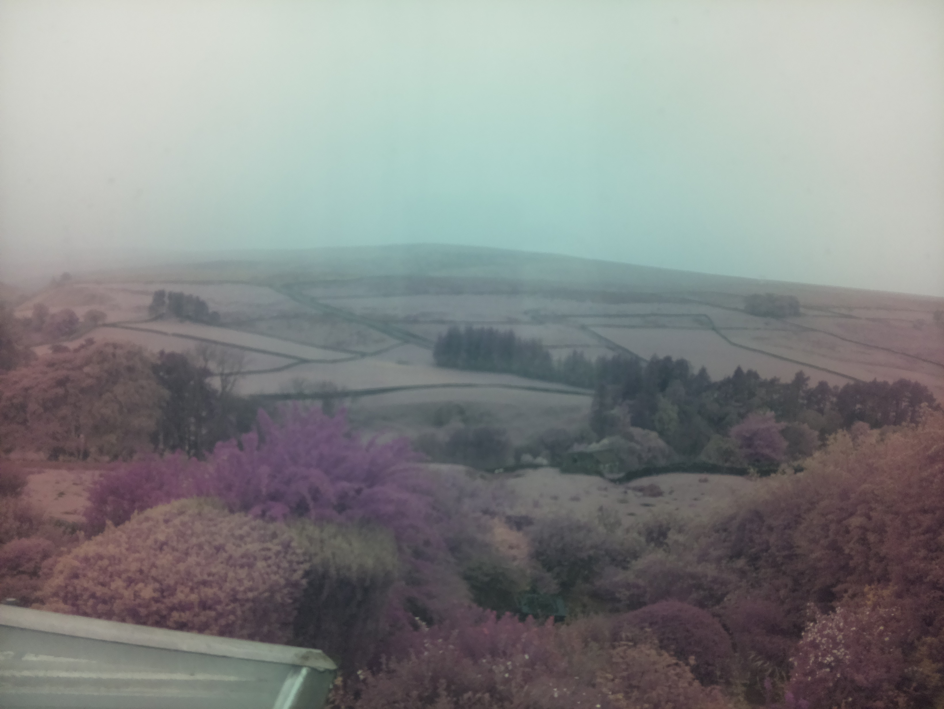 raspi webcam photo
