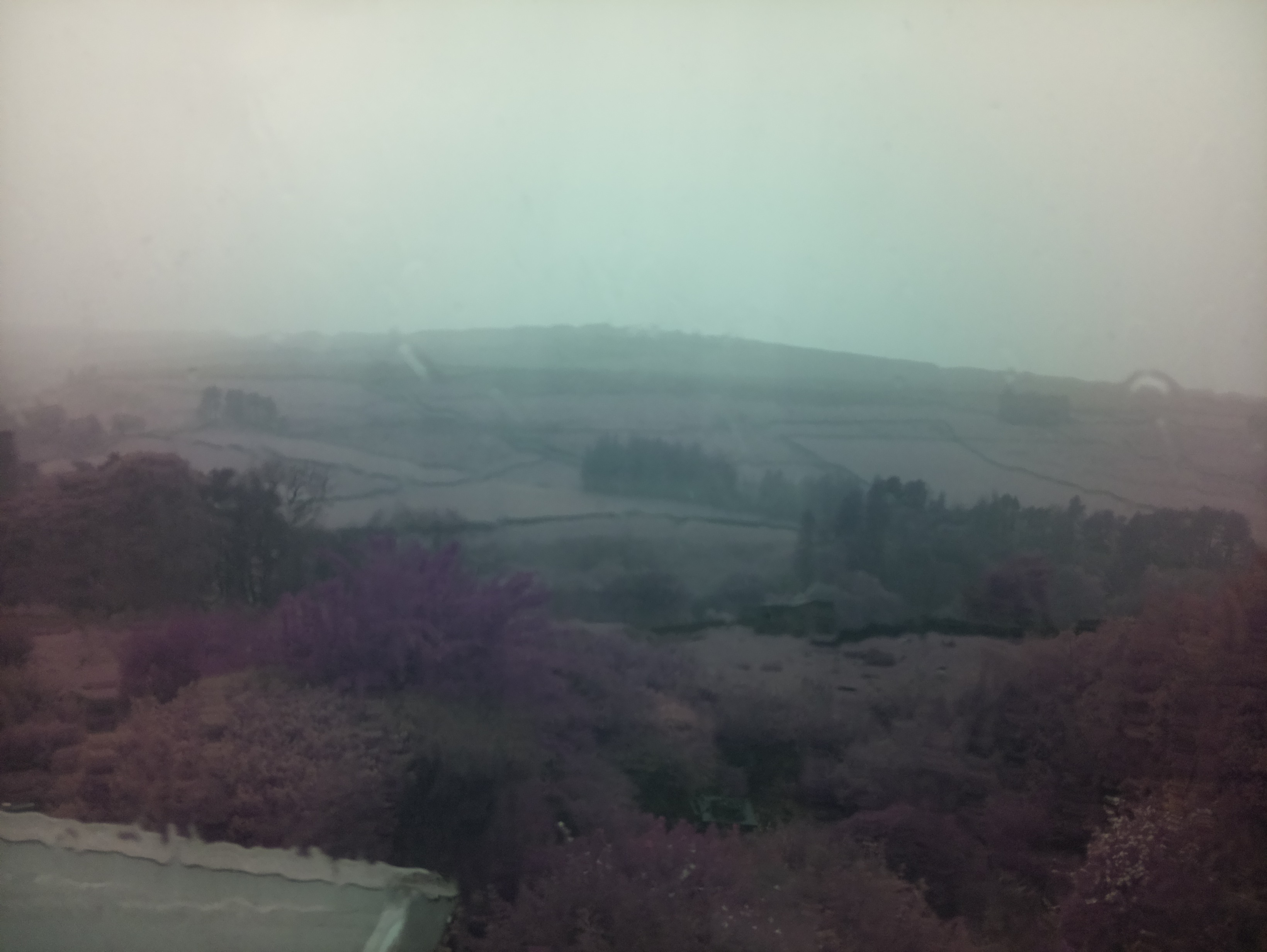 raspi webcam photo