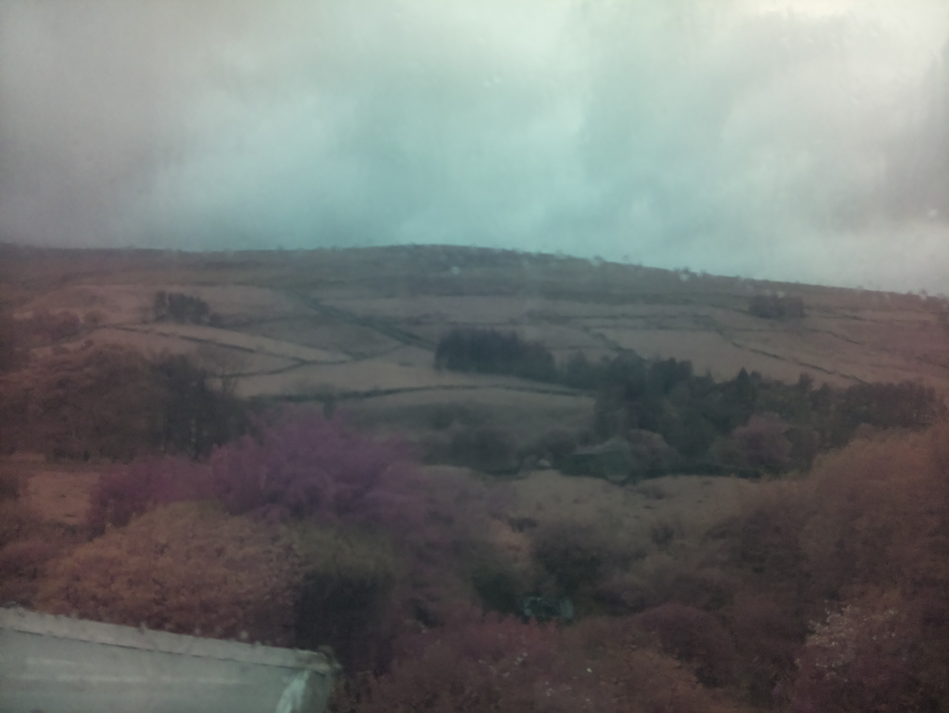 raspi webcam photo