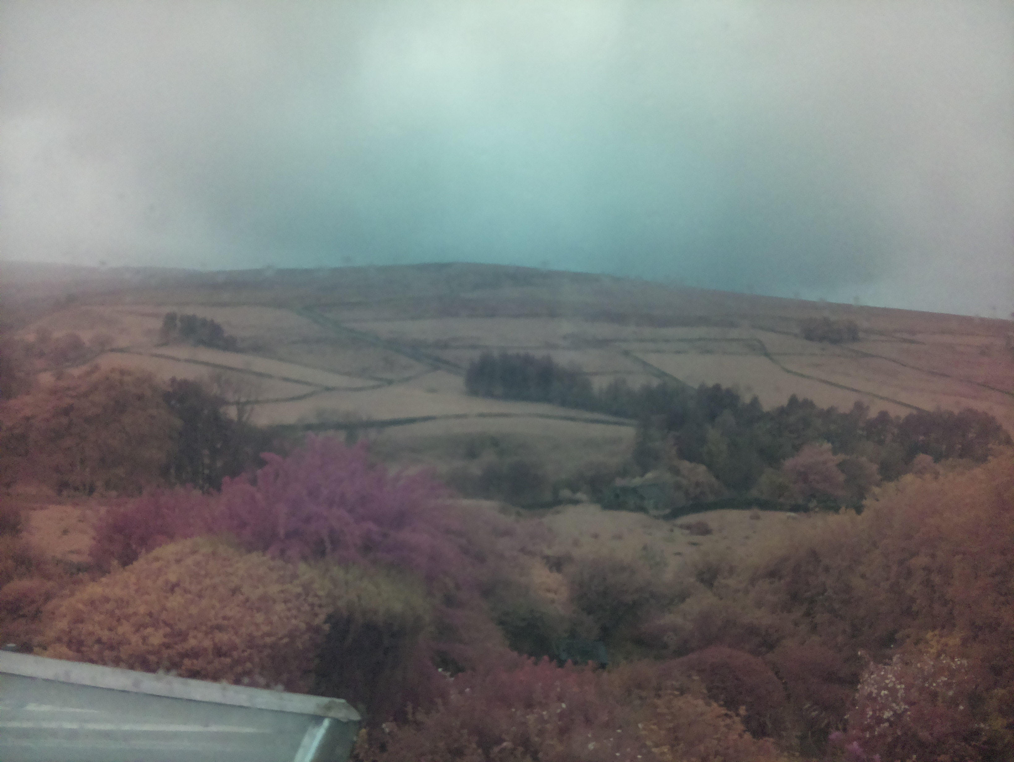 raspi webcam photo