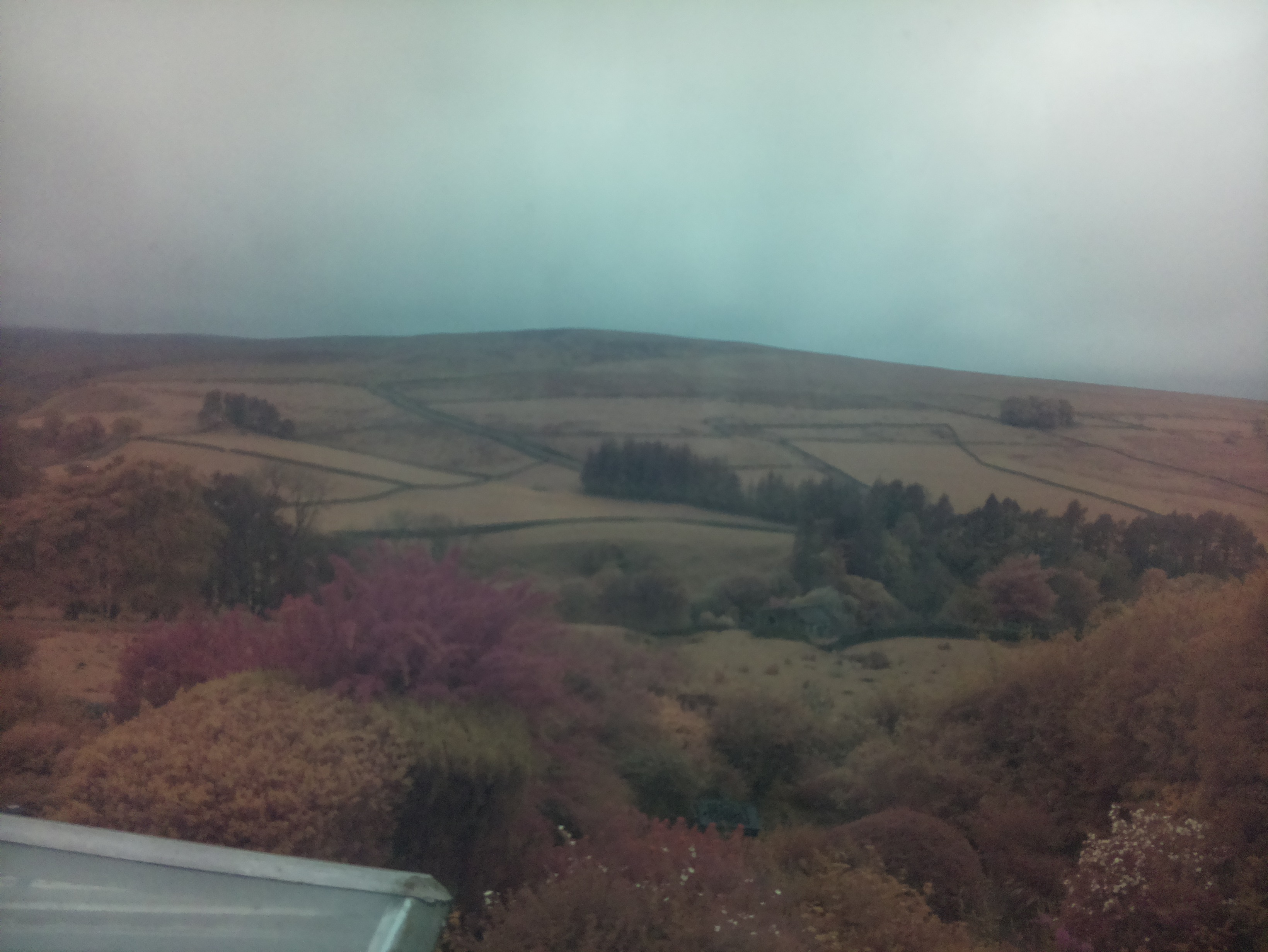 raspi webcam photo