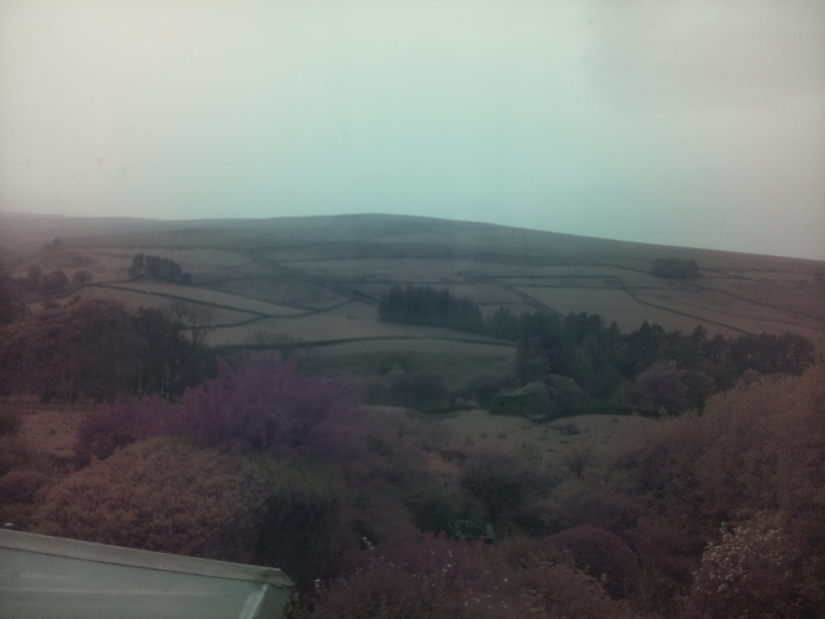 raspi webcam photo