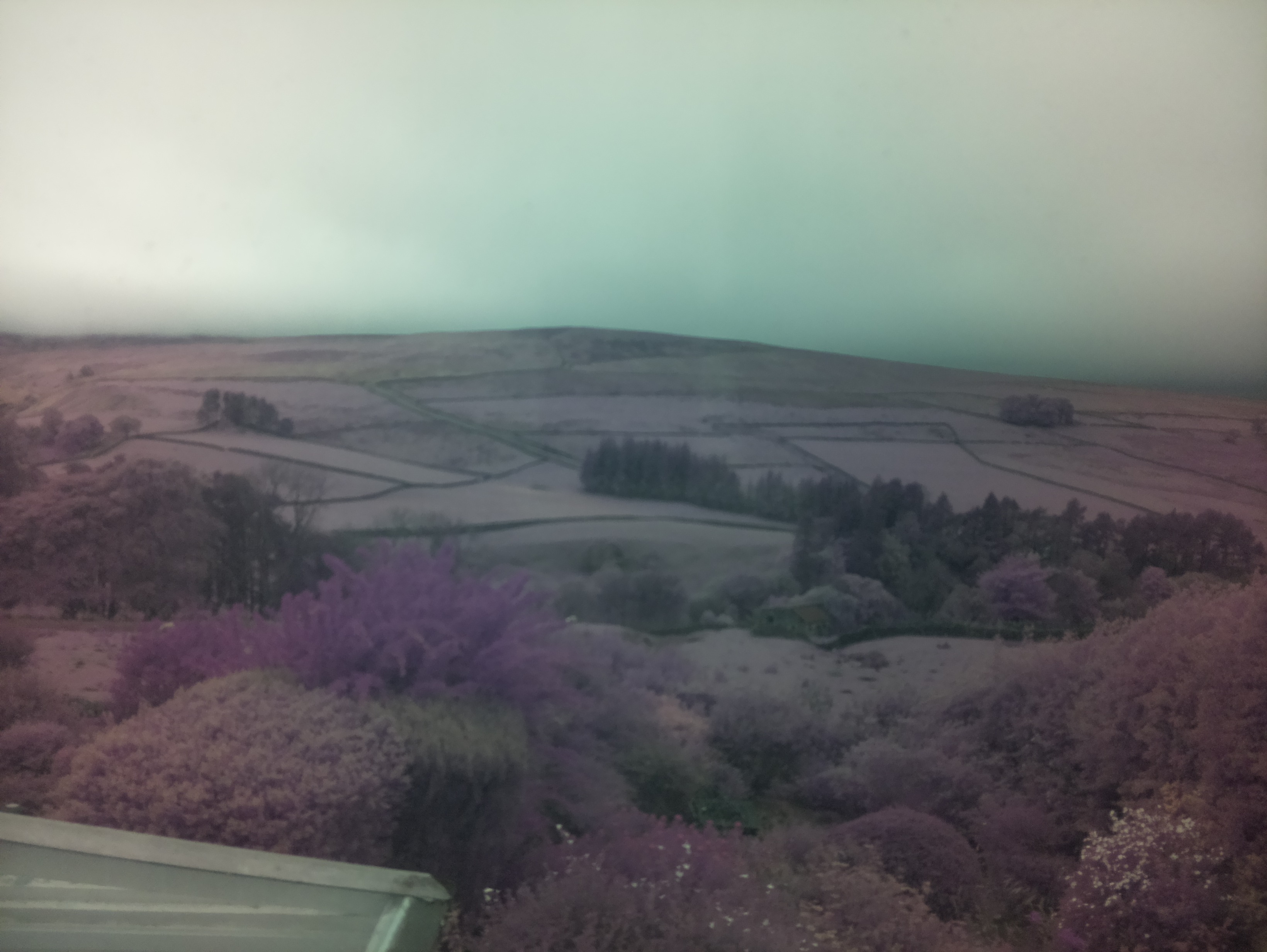 raspi webcam photo