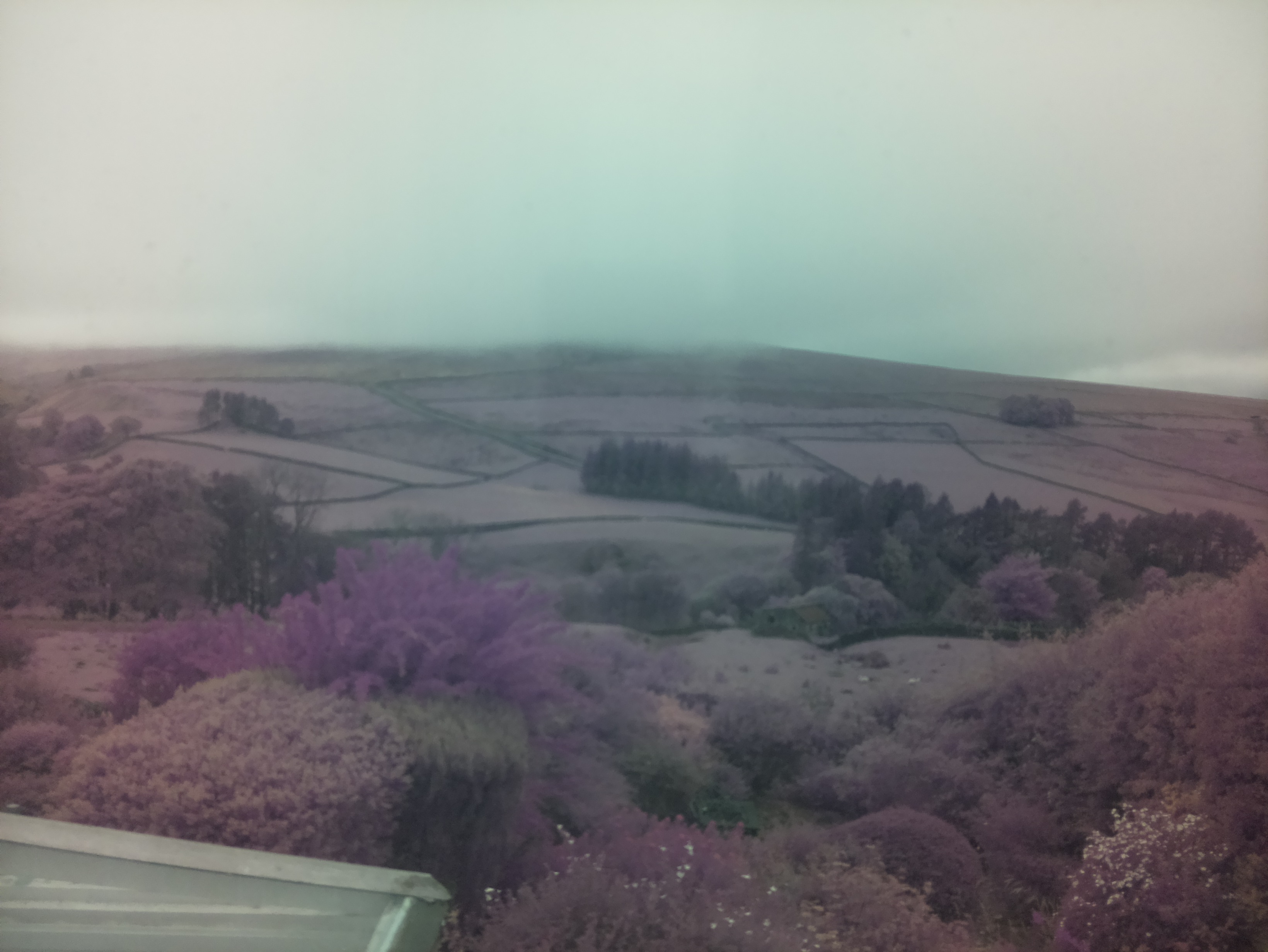 raspi webcam photo