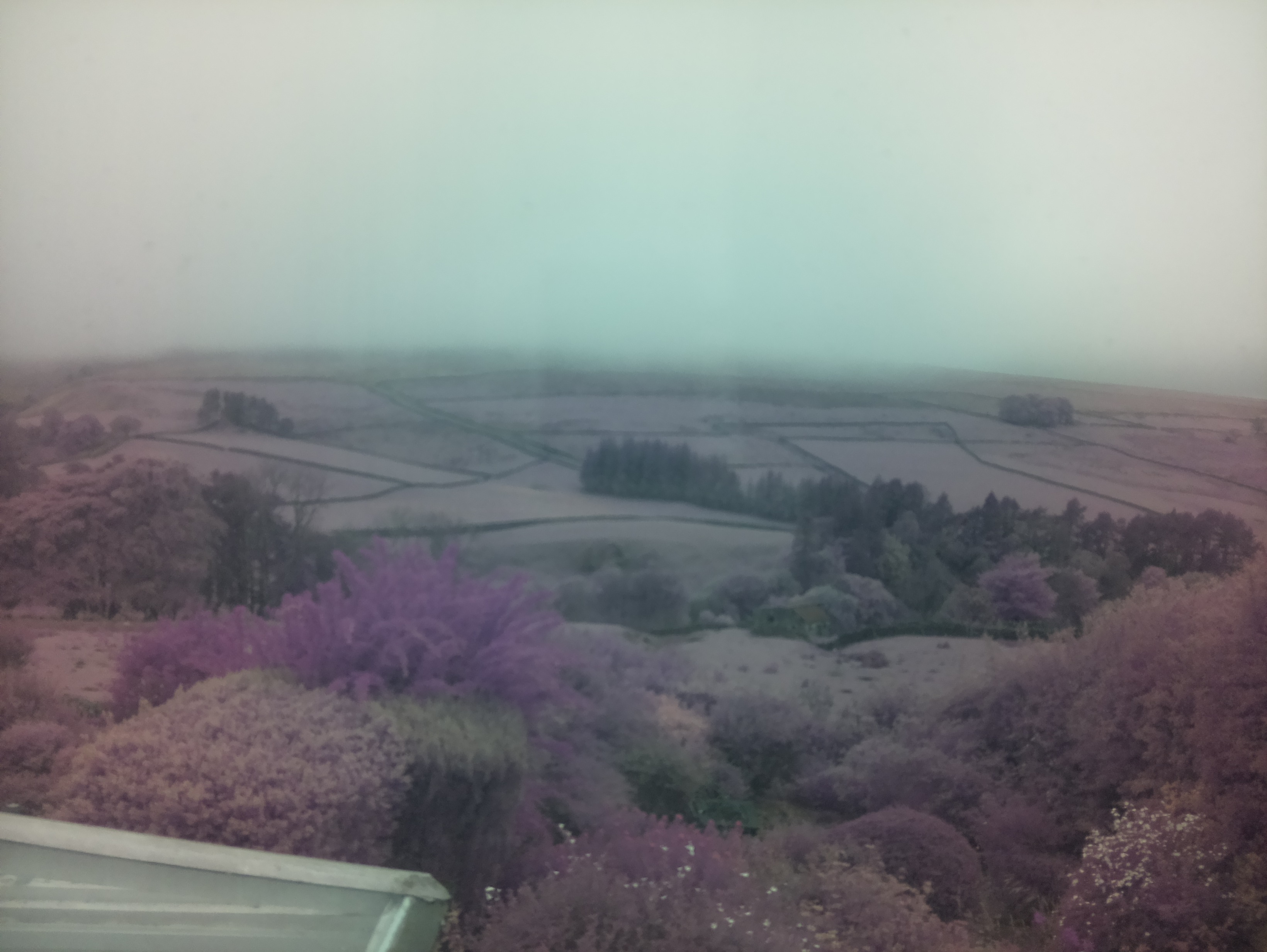 raspi webcam photo