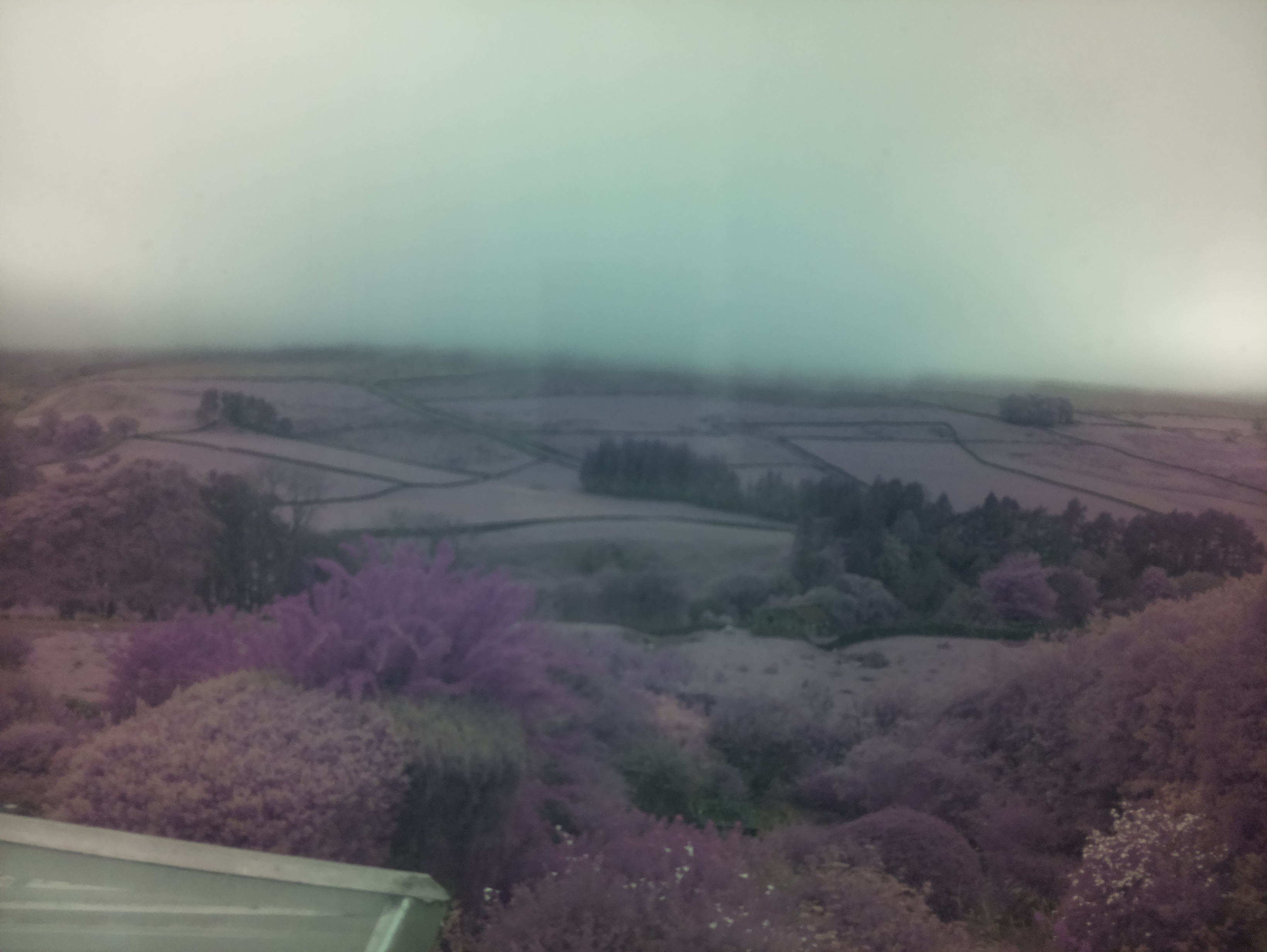 raspi webcam photo