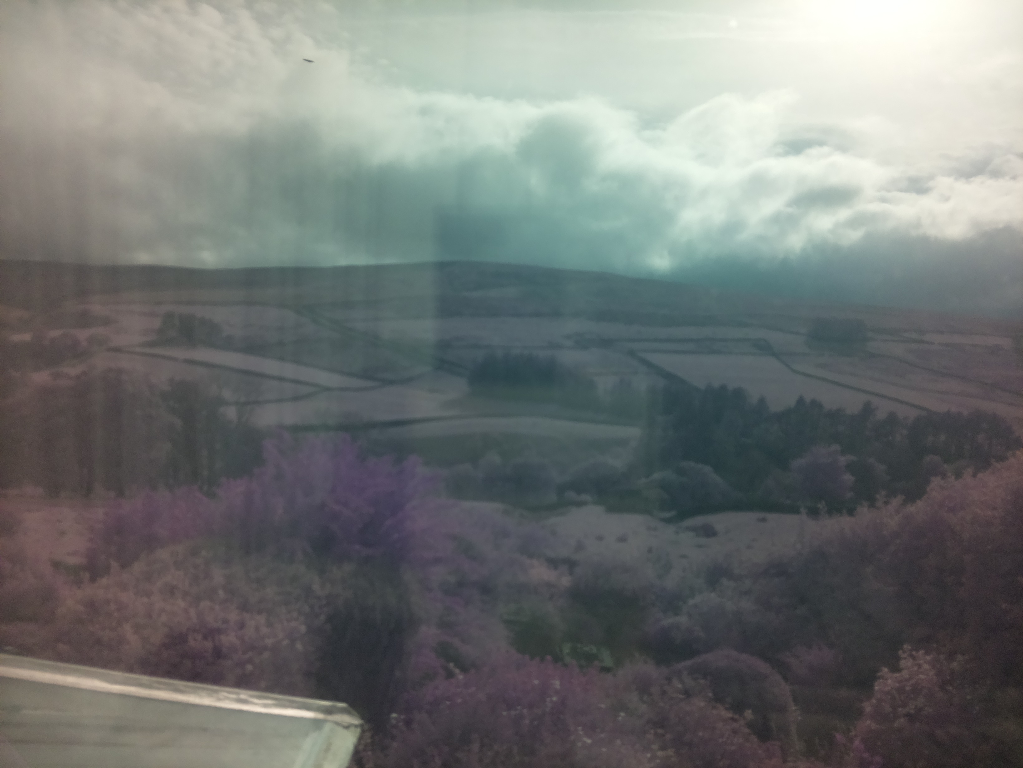 raspi webcam photo