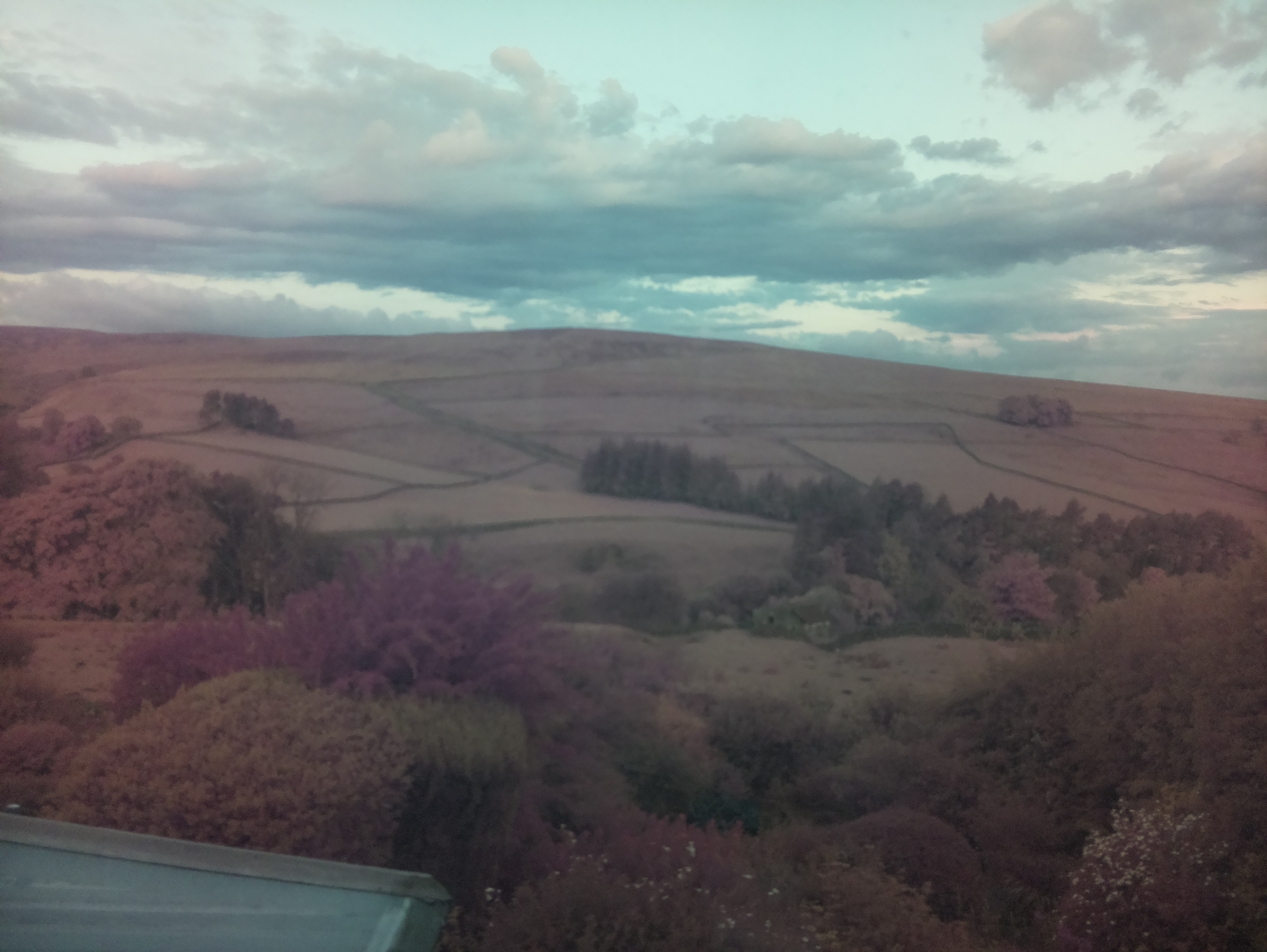 raspi webcam photo