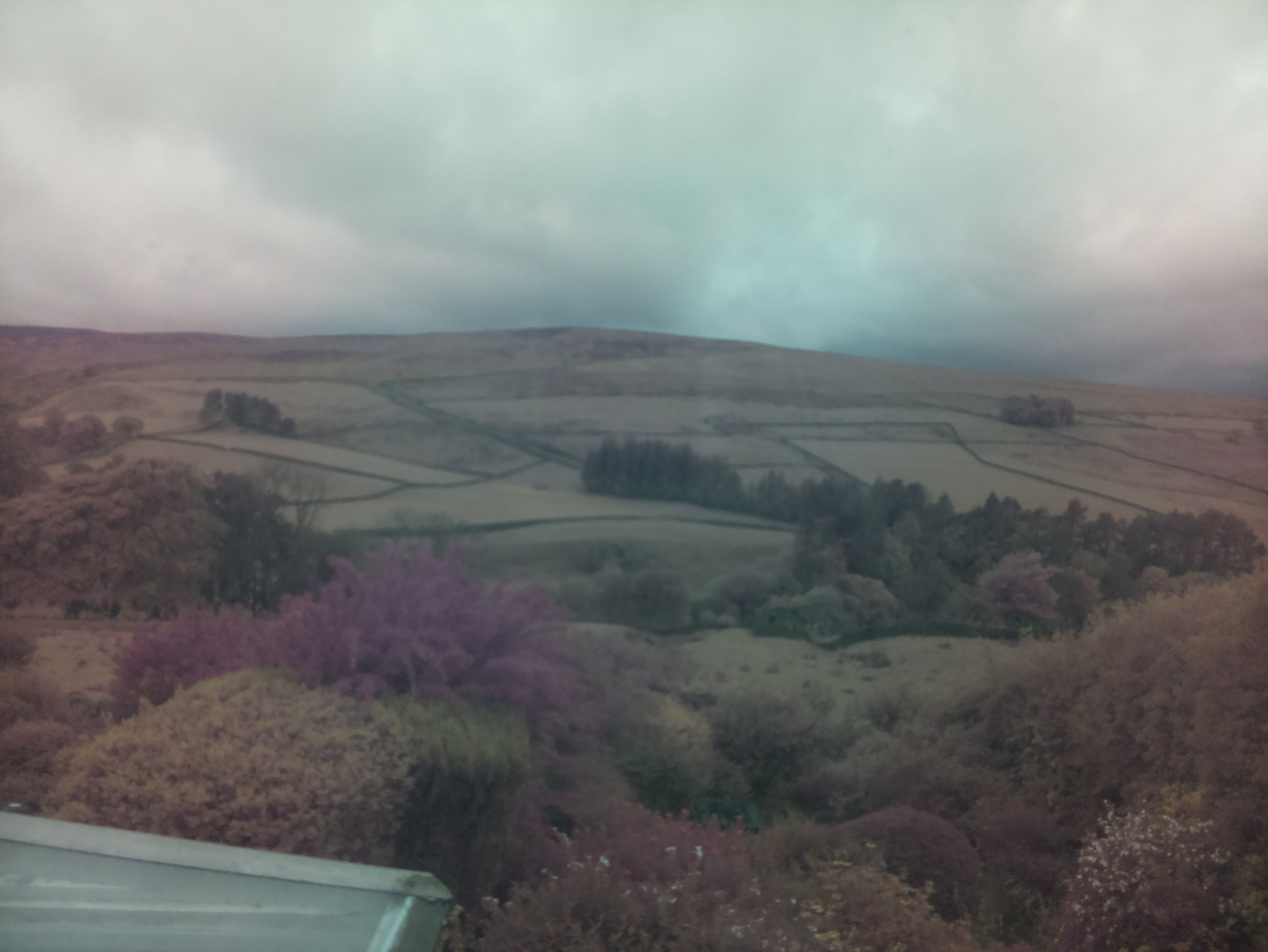 raspi webcam photo