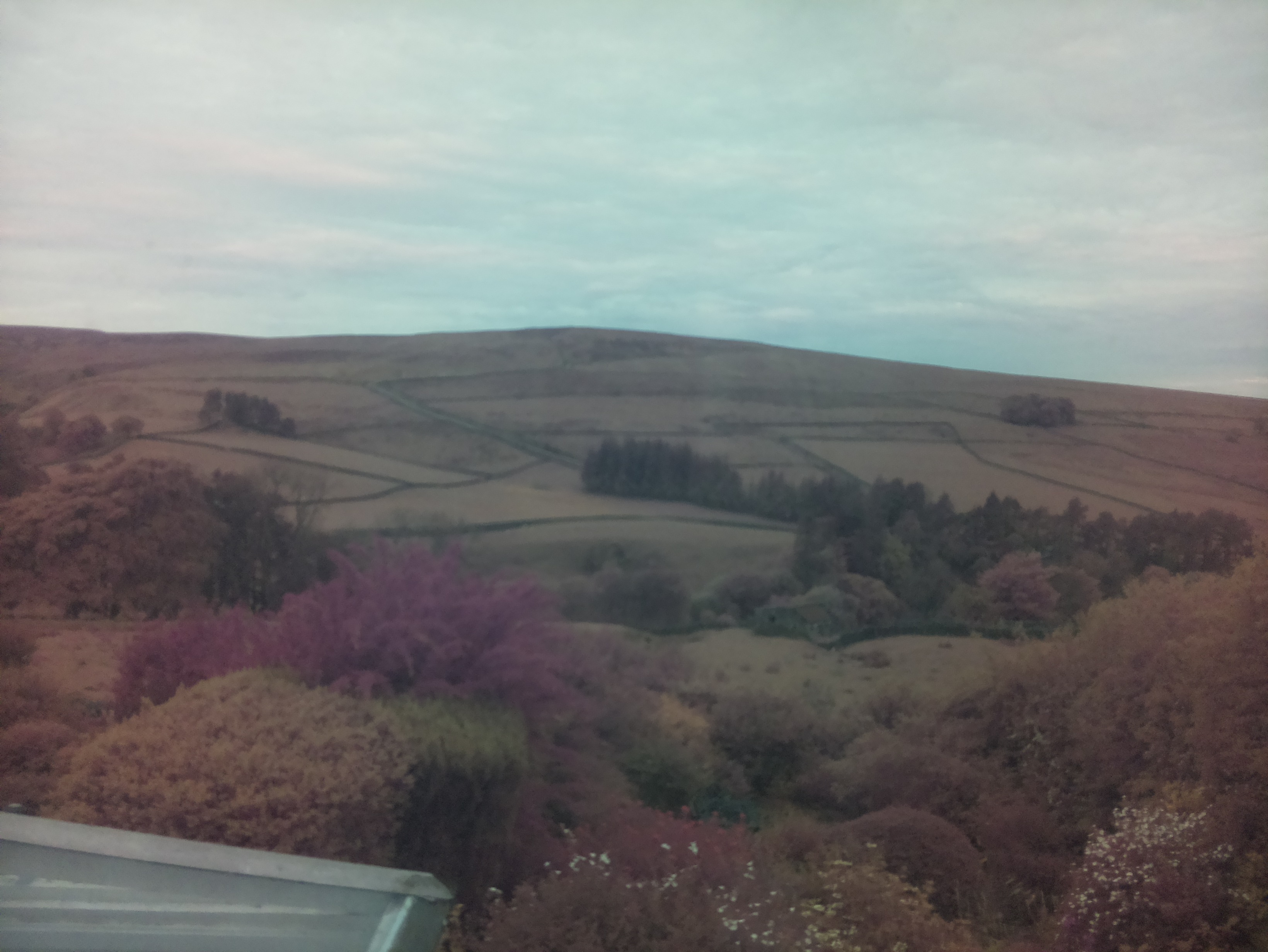 raspi webcam photo