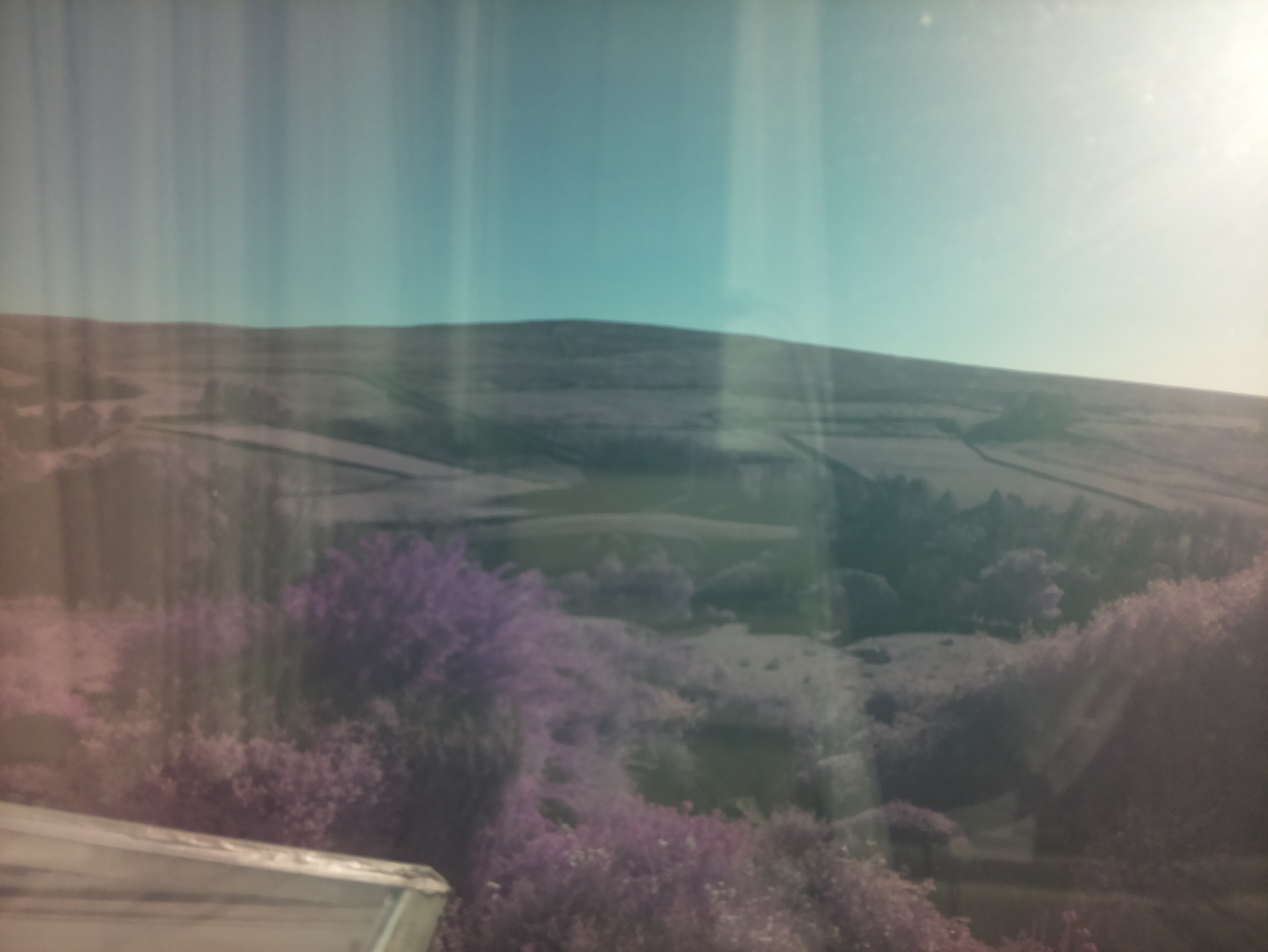 raspi webcam photo