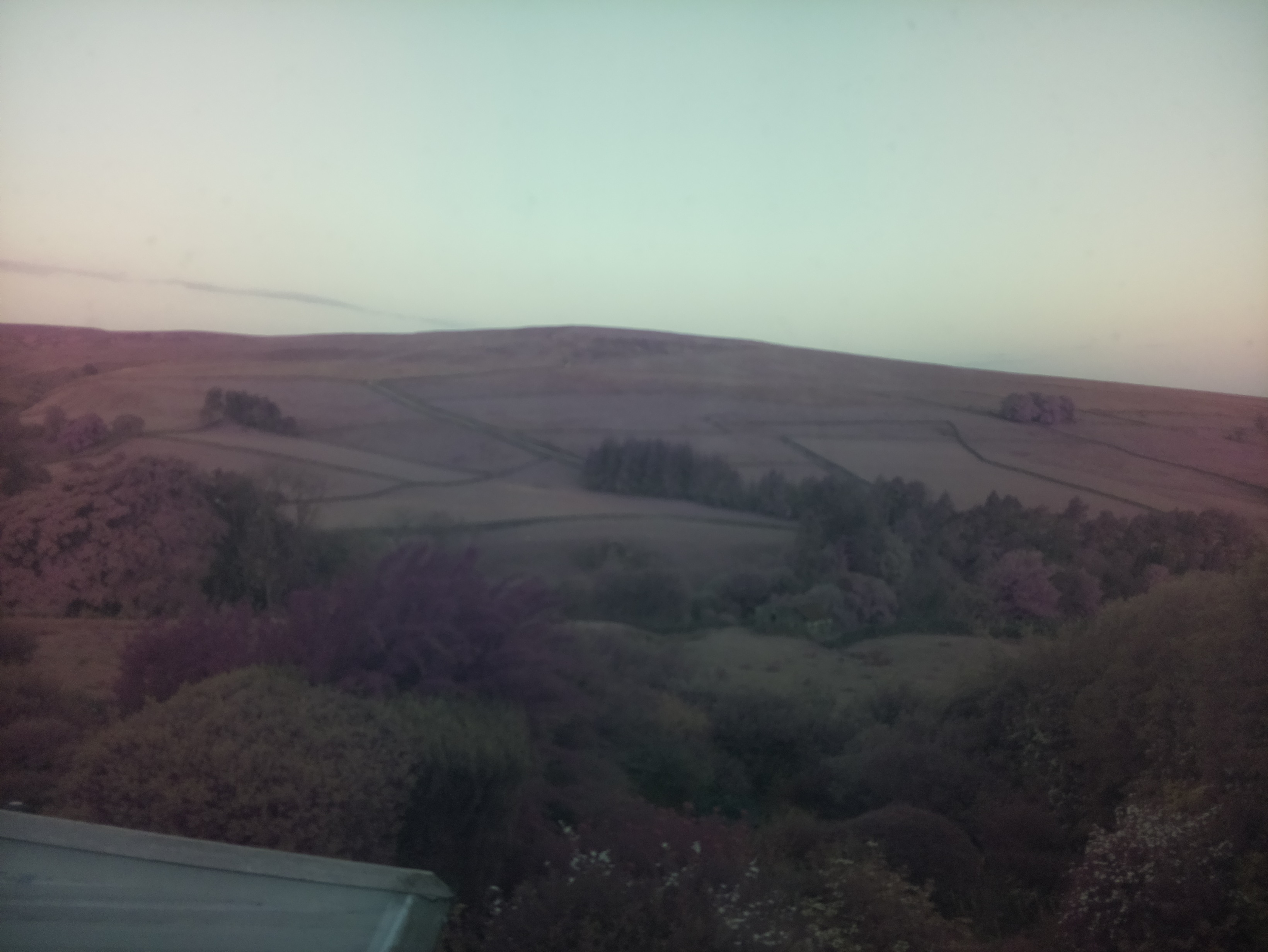 raspi webcam photo