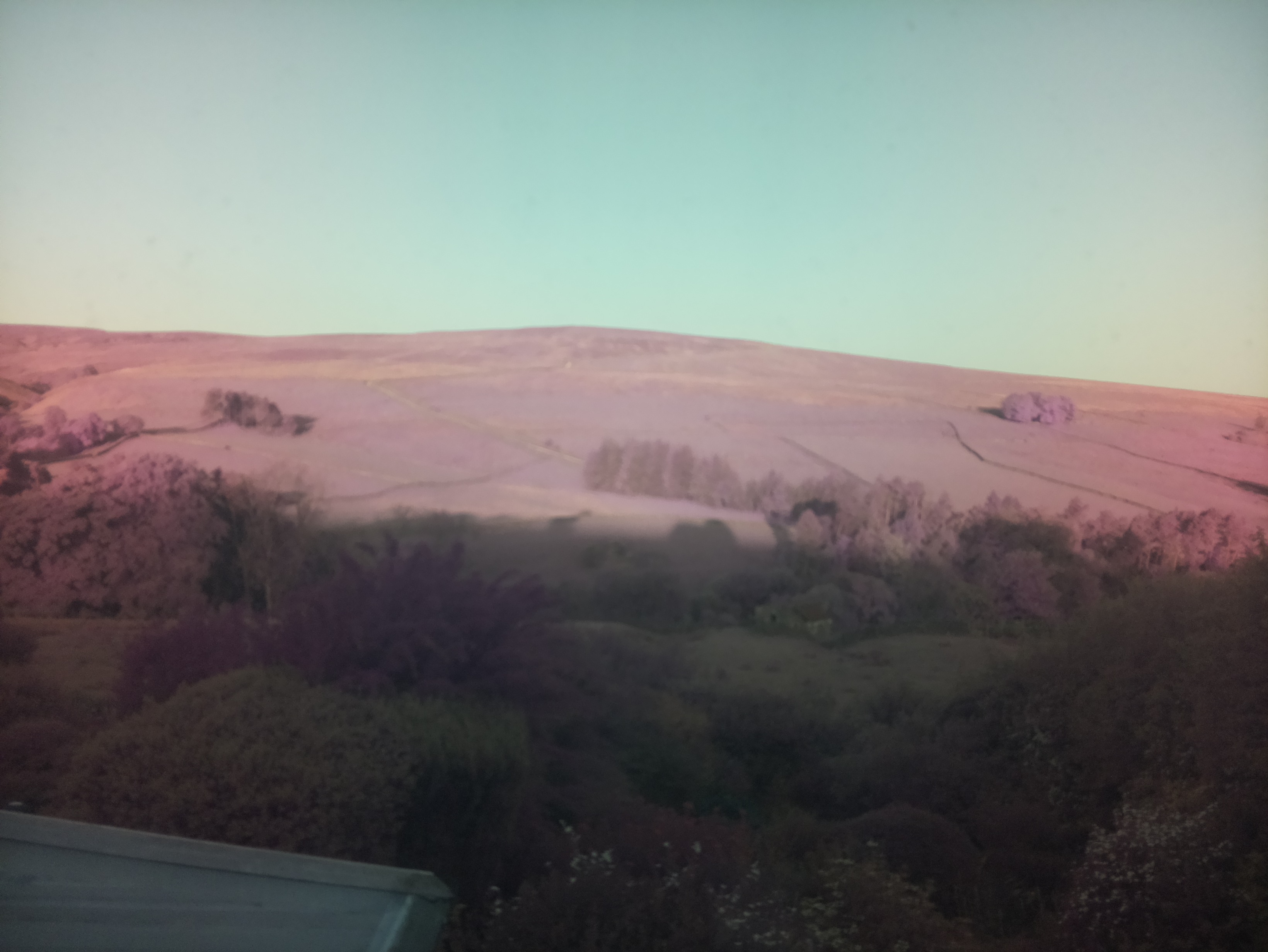 raspi webcam photo