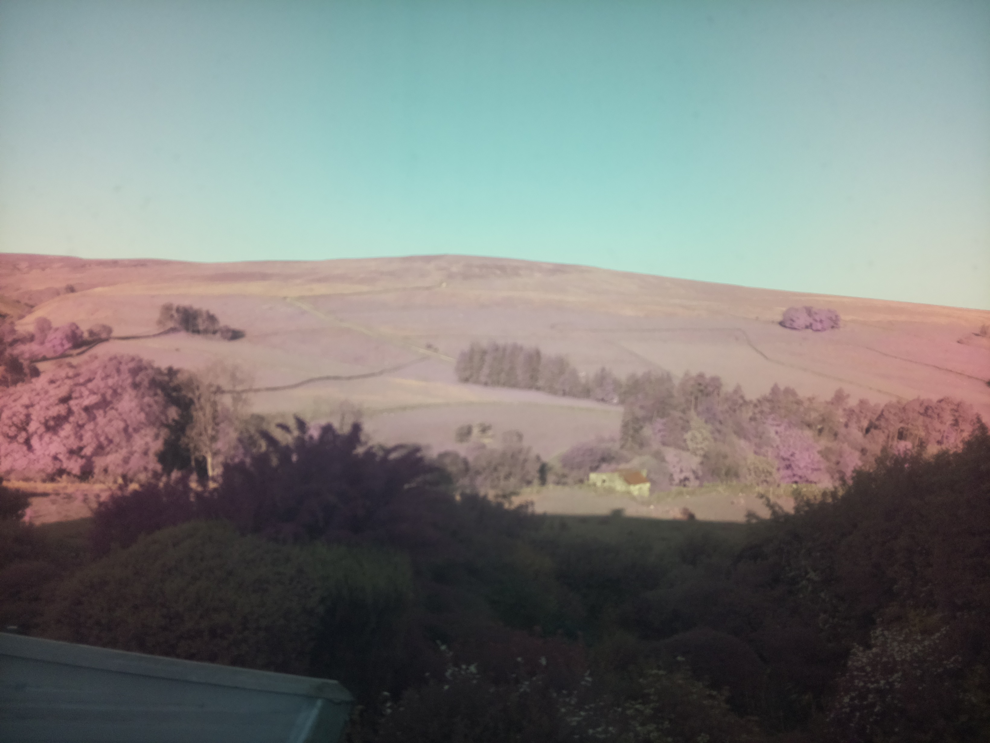 raspi webcam photo
