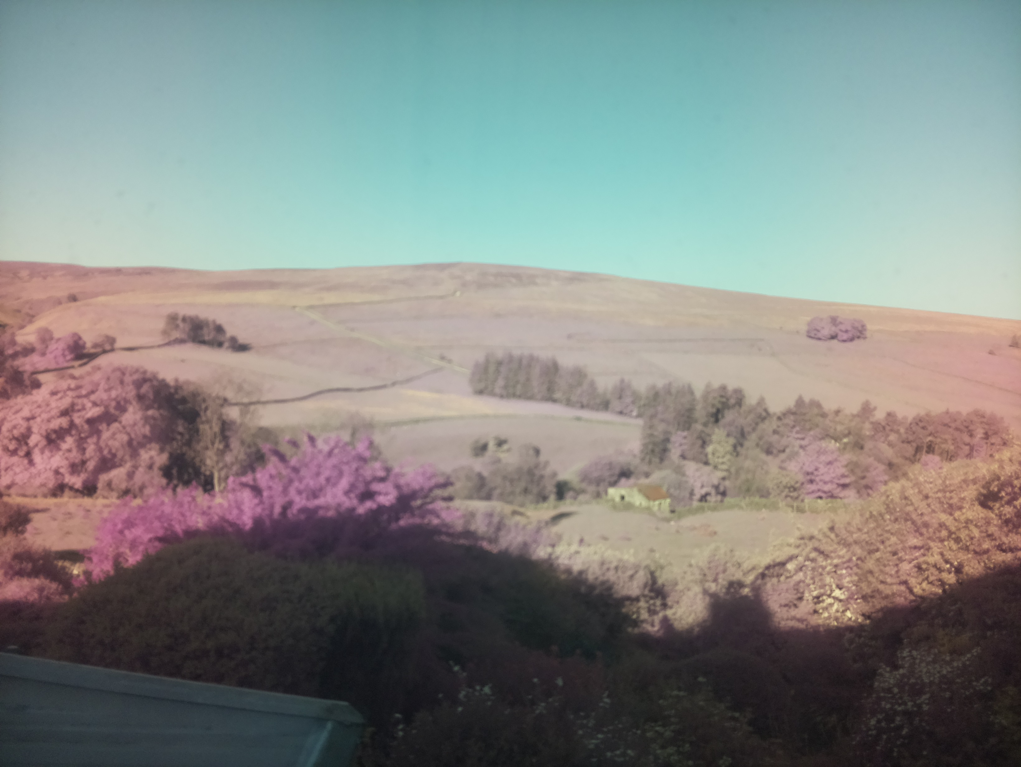 raspi webcam photo