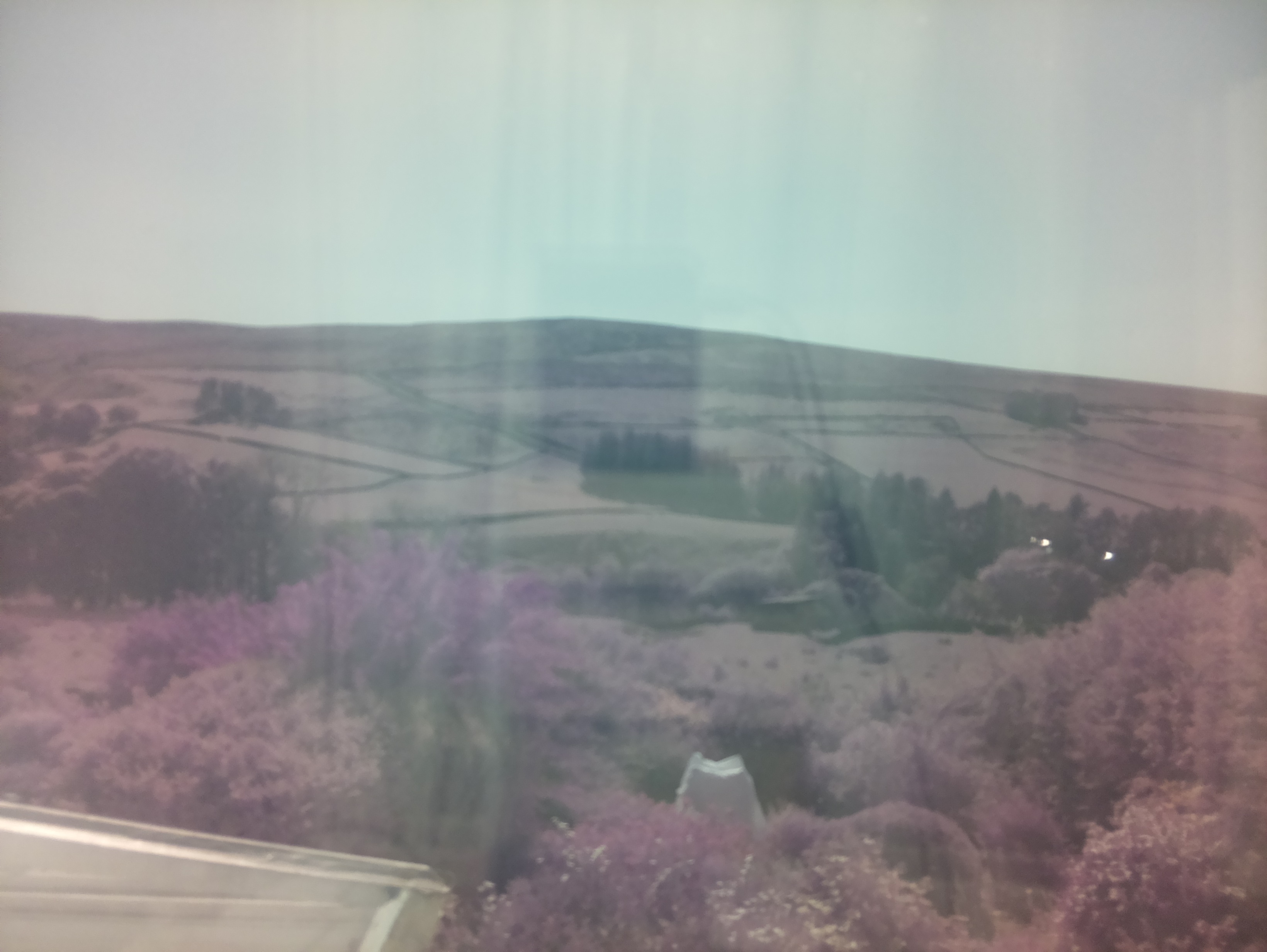 raspi webcam photo