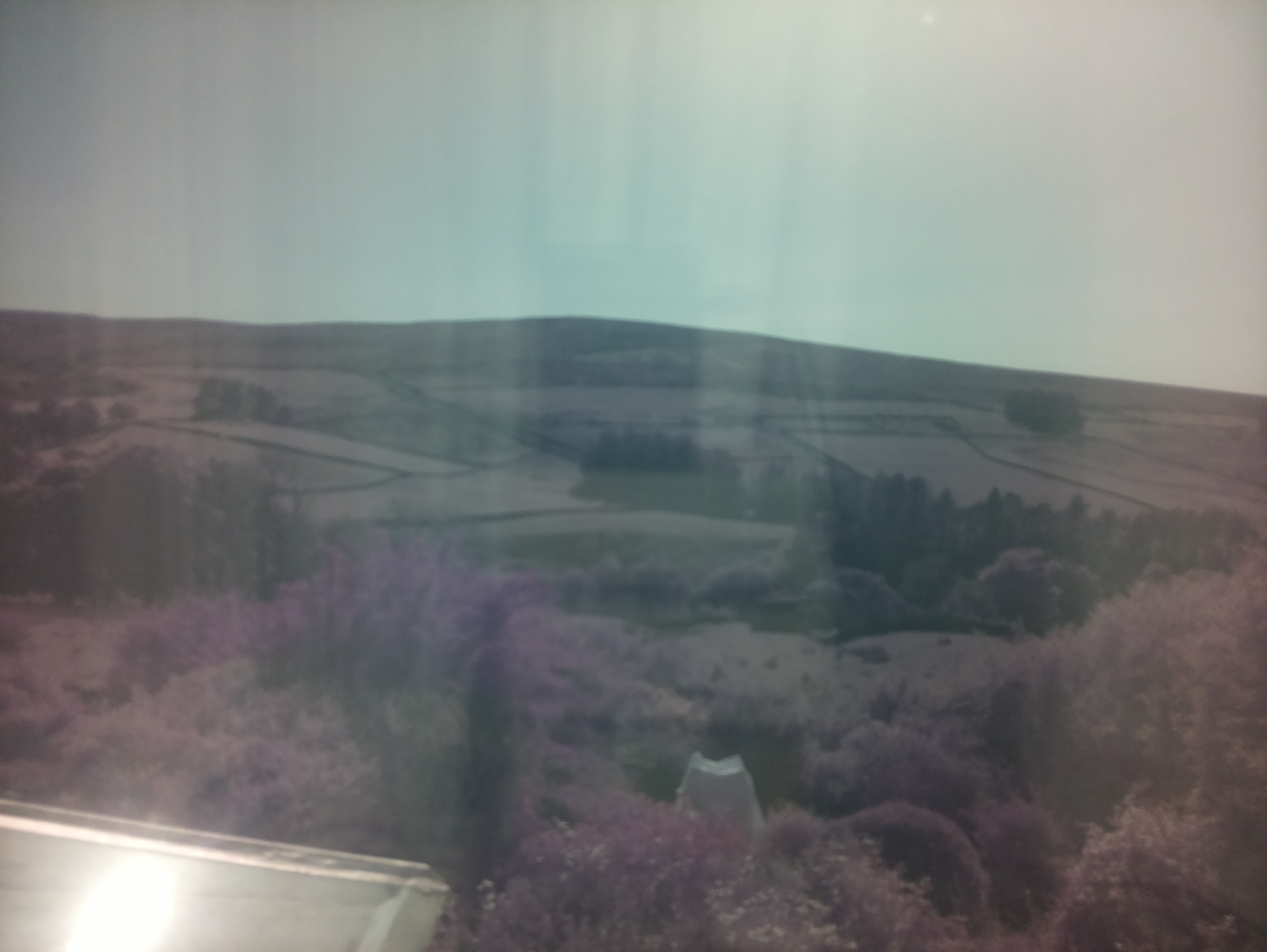 raspi webcam photo