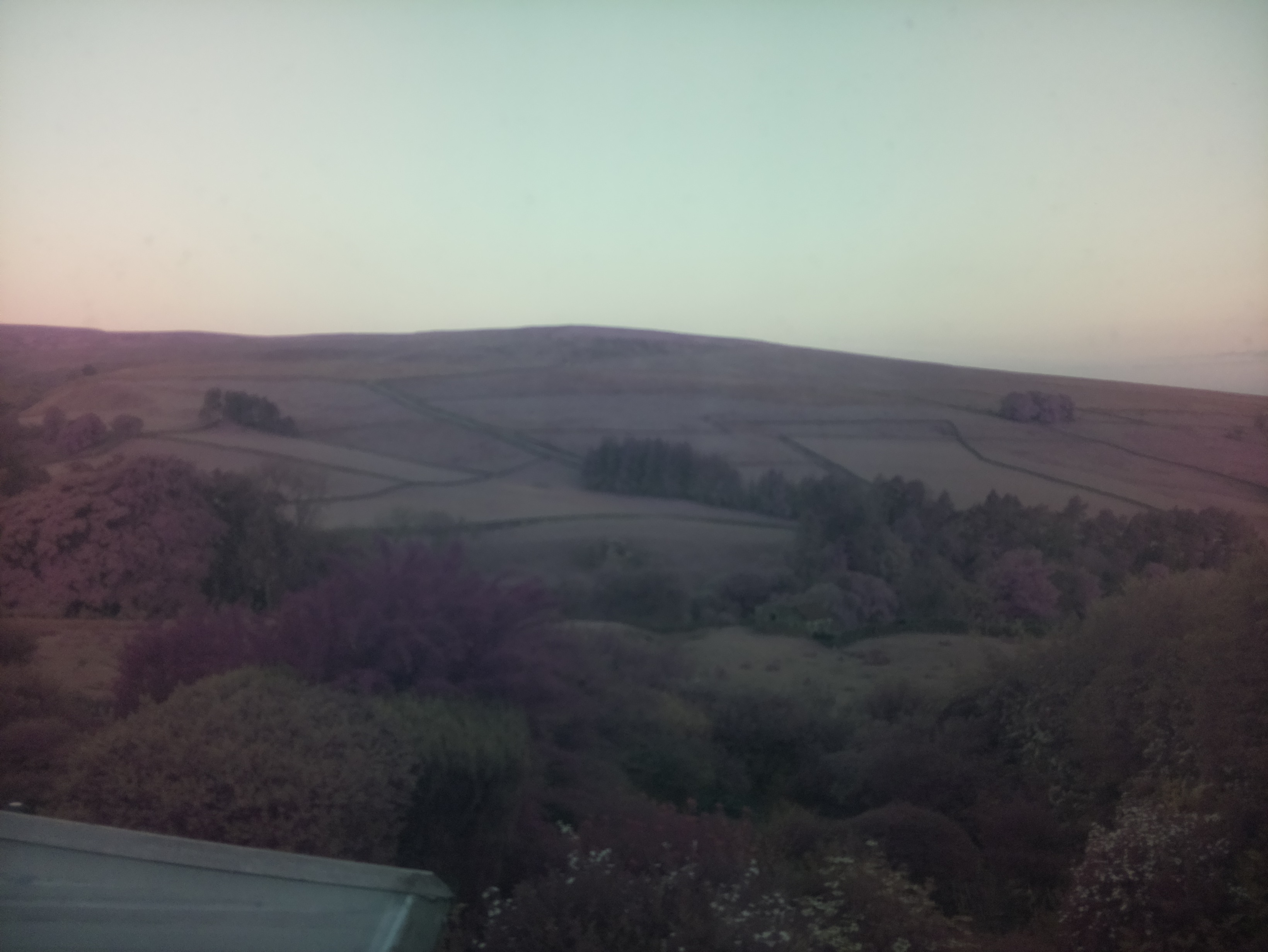 raspi webcam photo