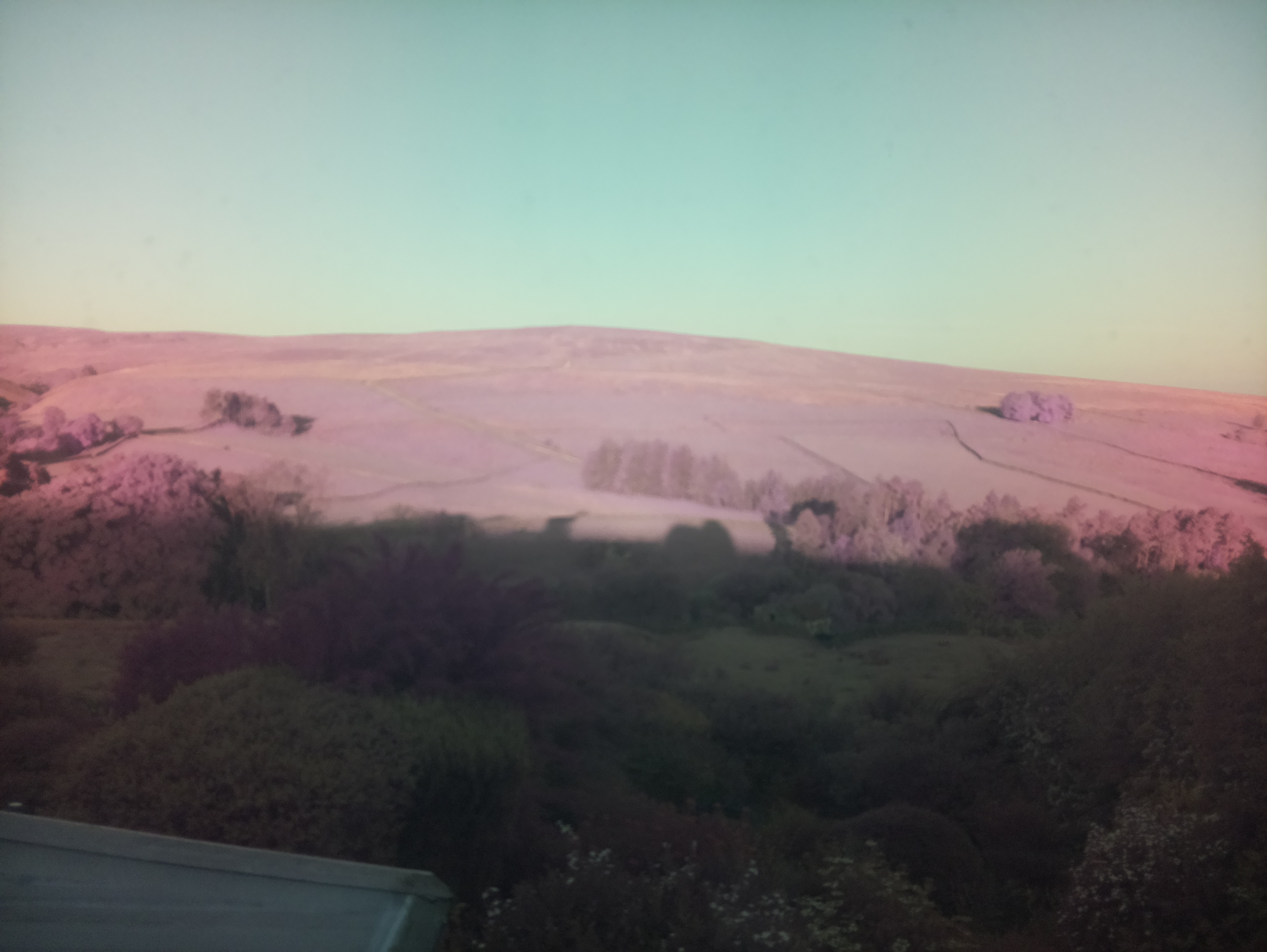 raspi webcam photo