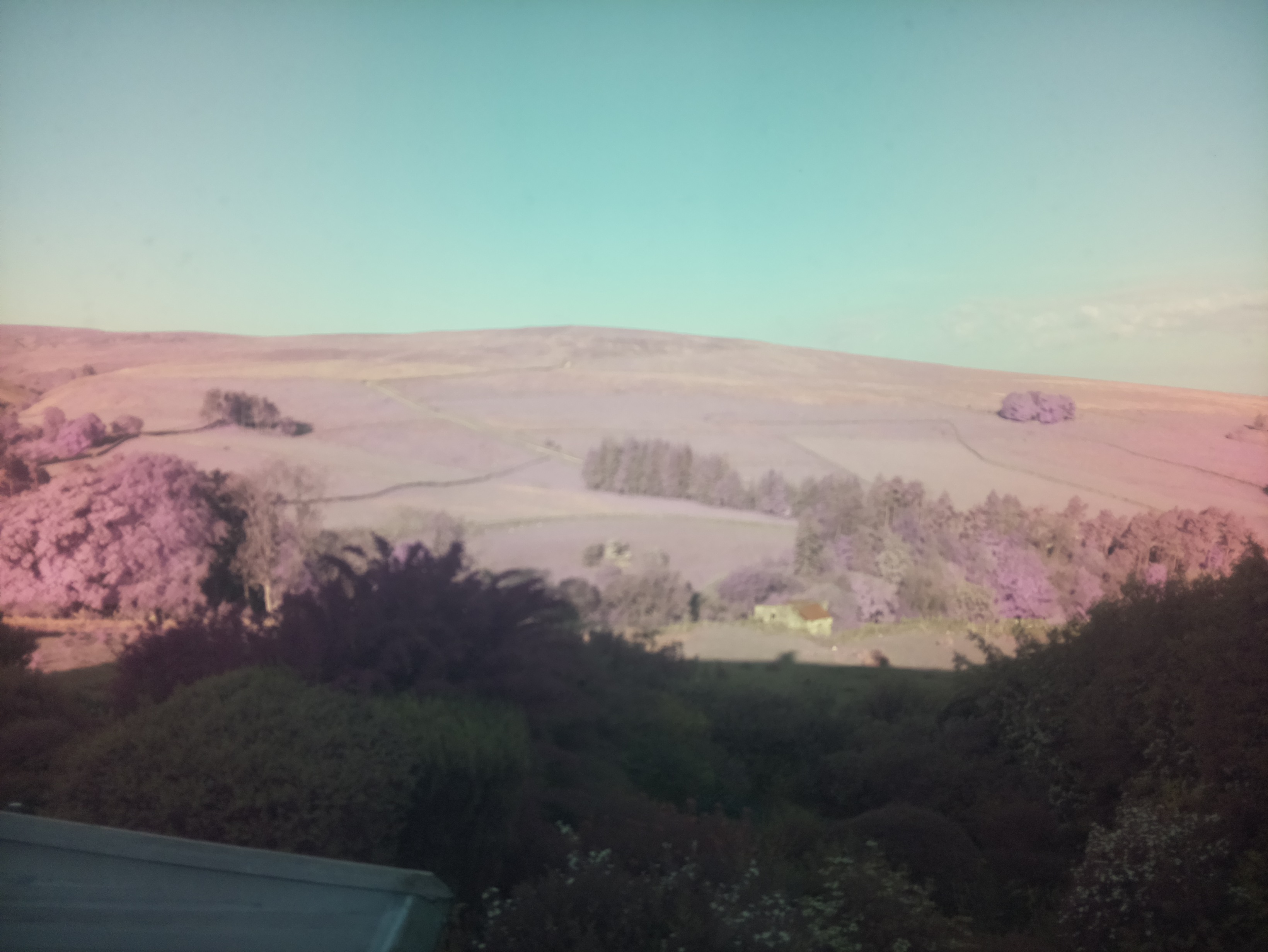 raspi webcam photo