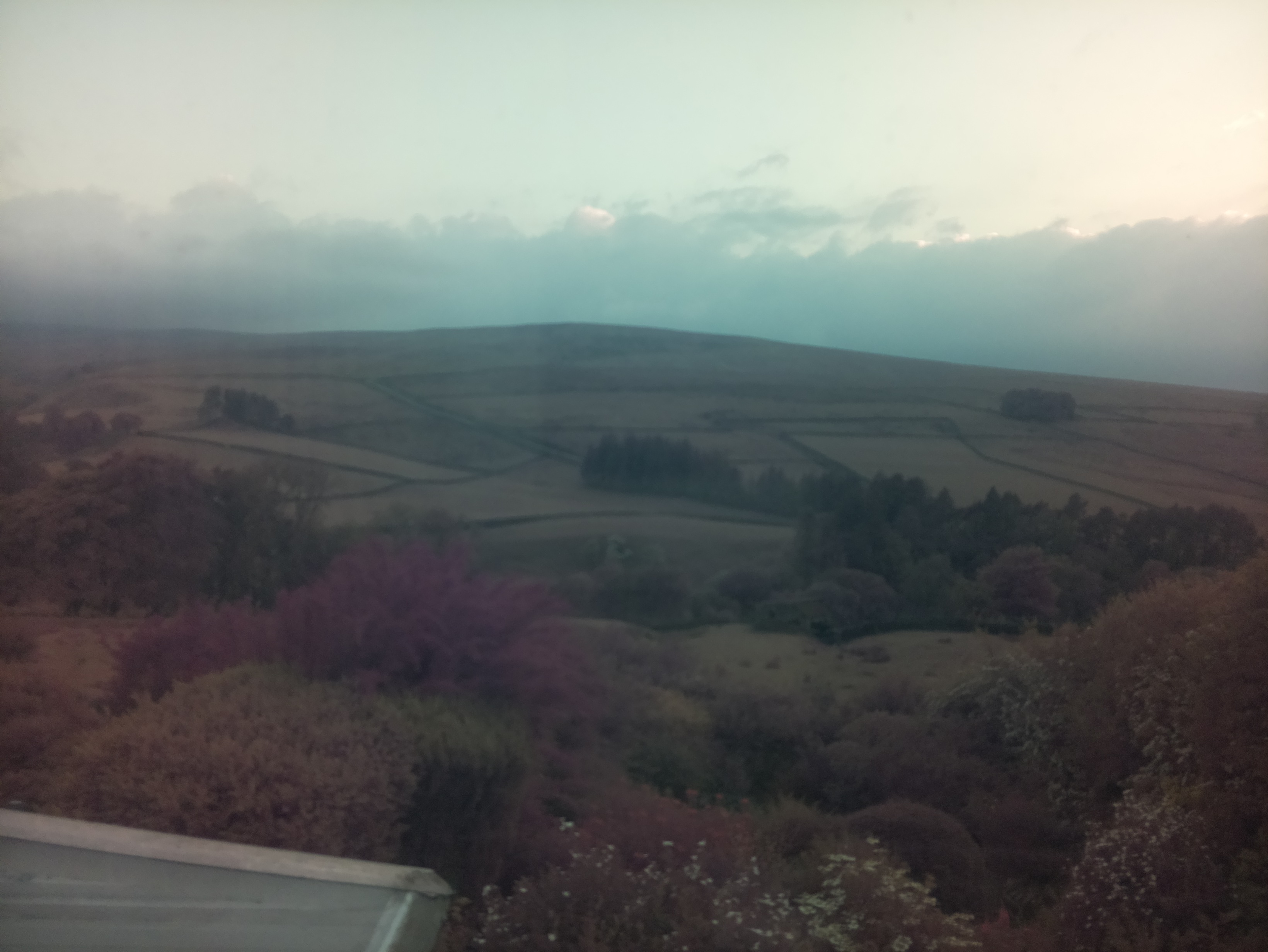 raspi webcam photo