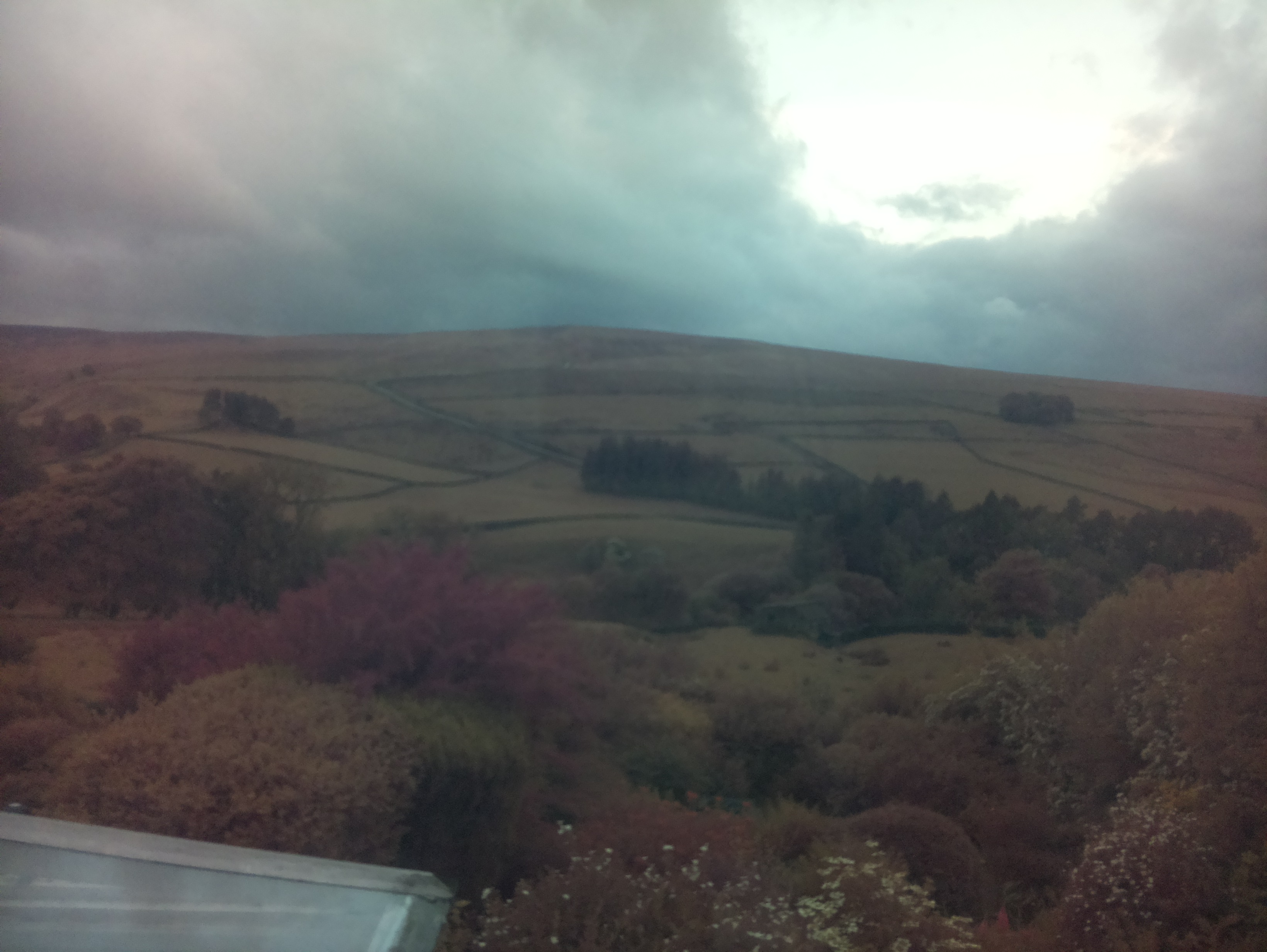 raspi webcam photo
