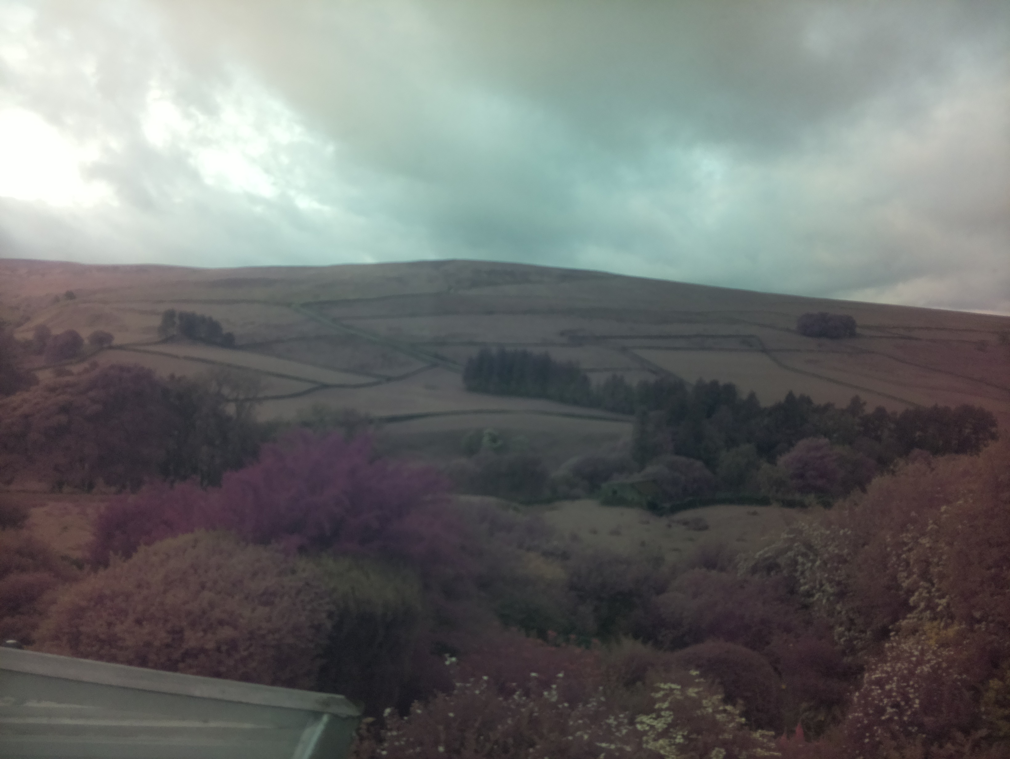 raspi webcam photo