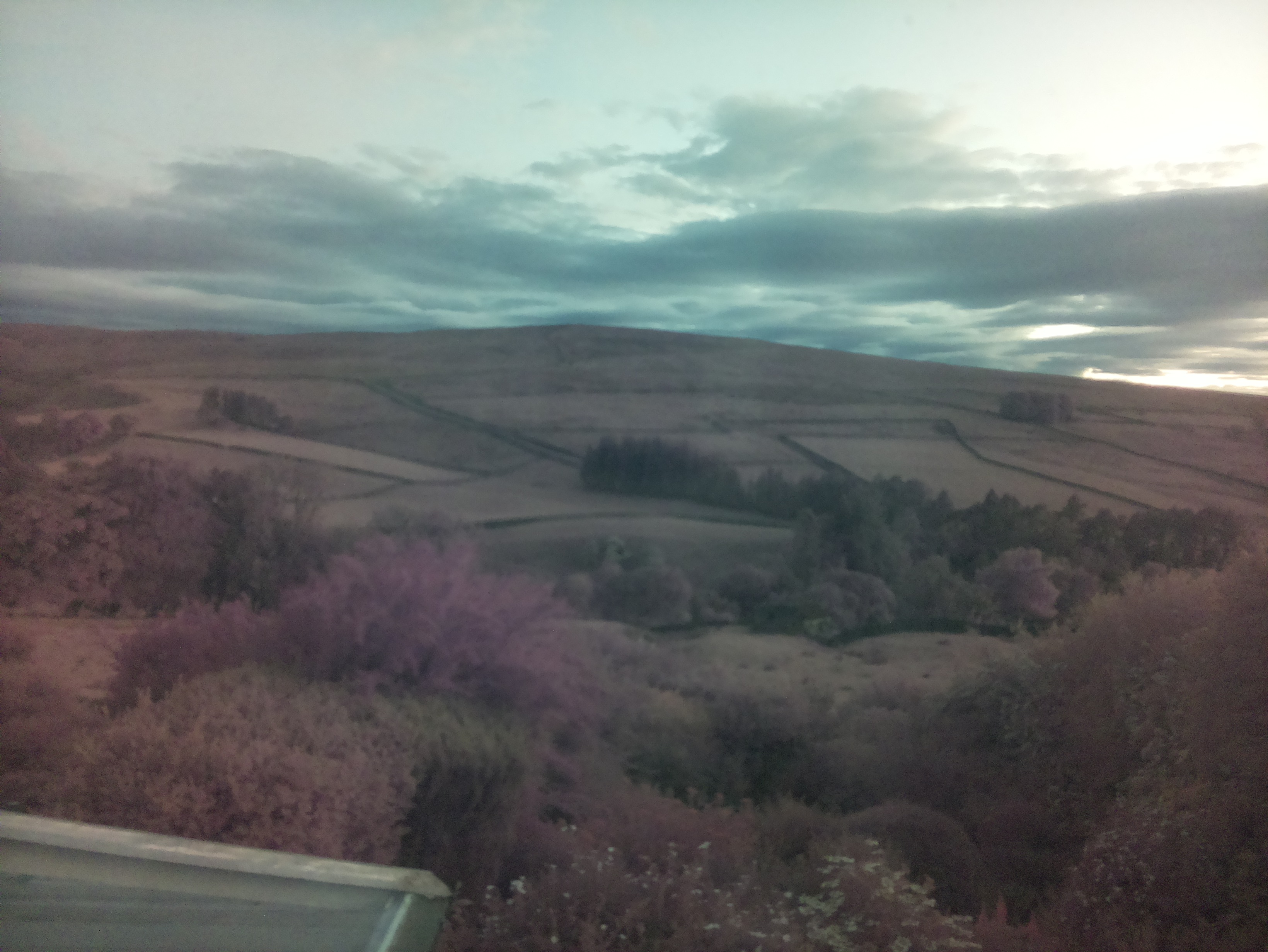 raspi webcam photo