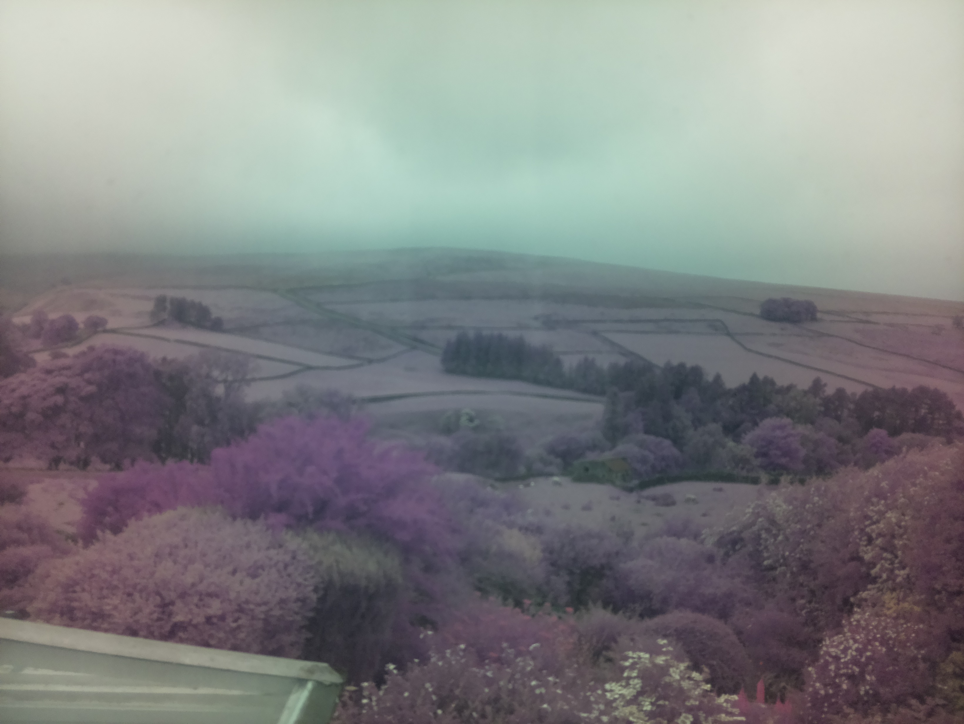 raspi webcam photo