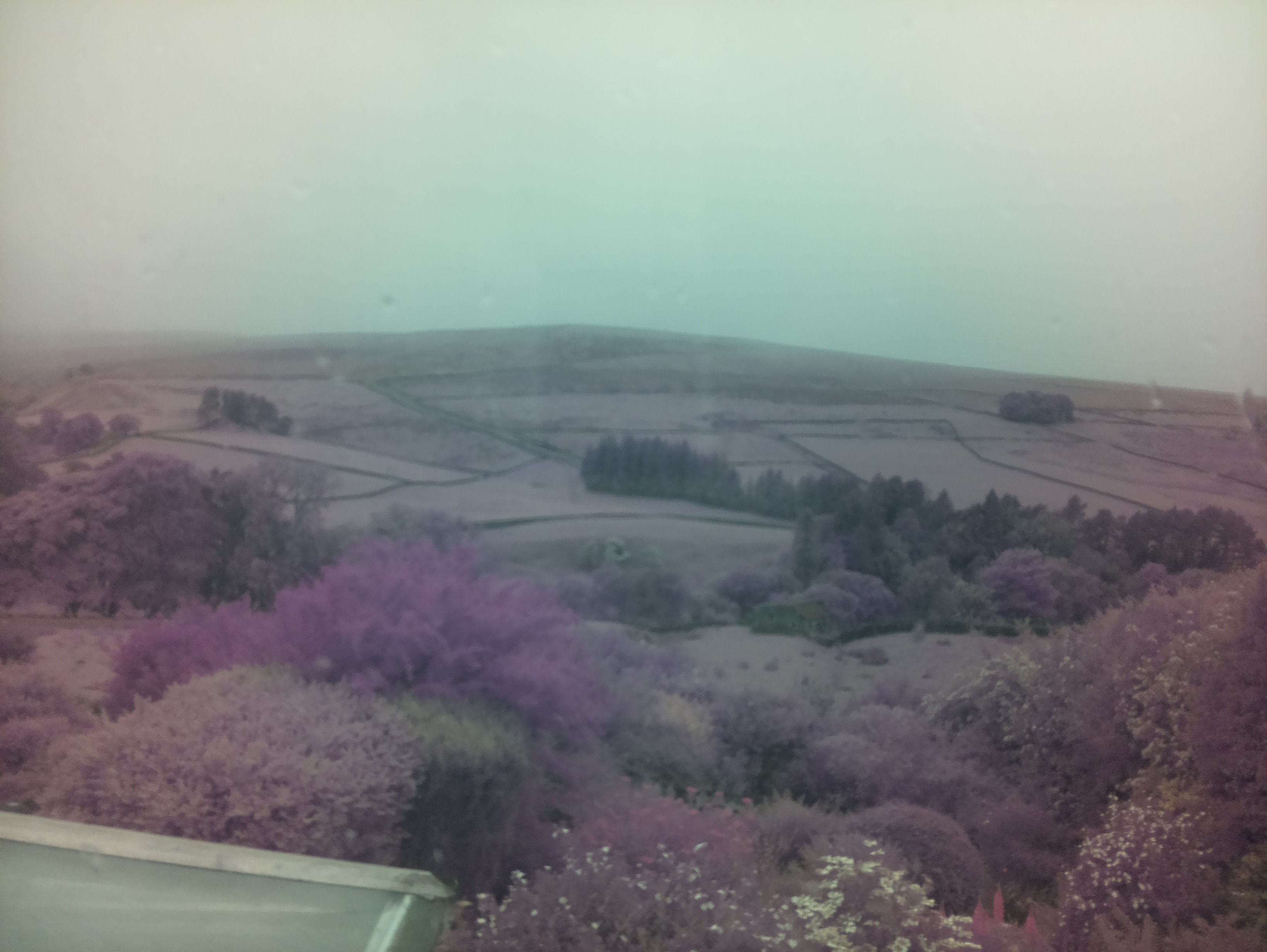 raspi webcam photo