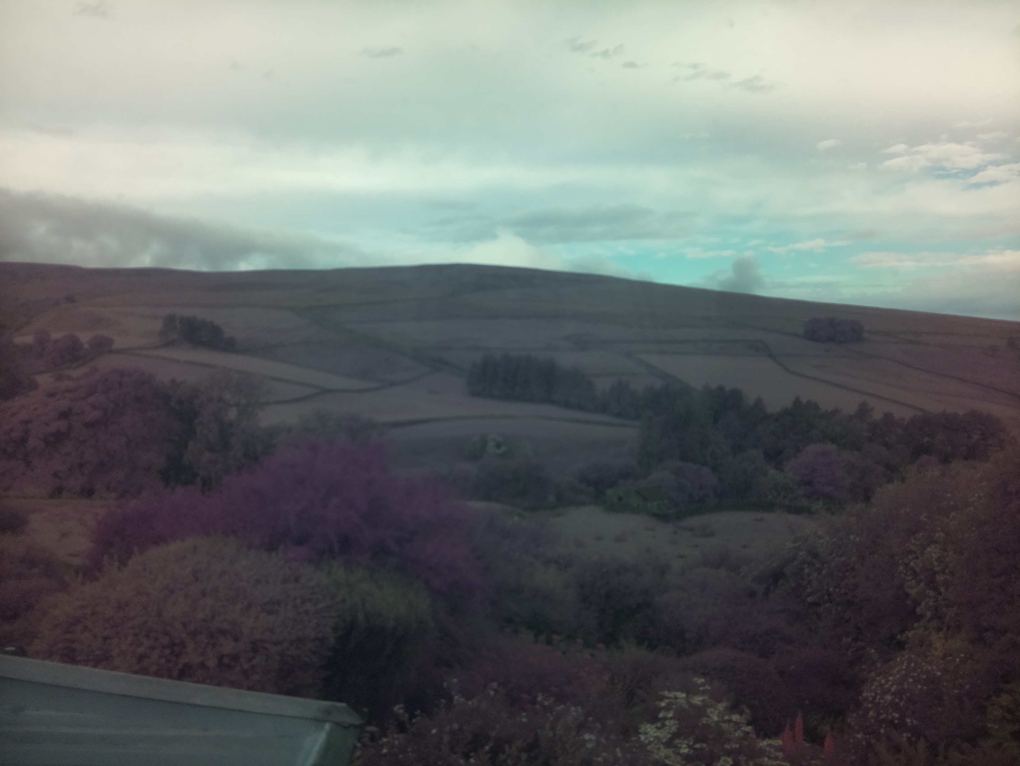 raspi webcam photo