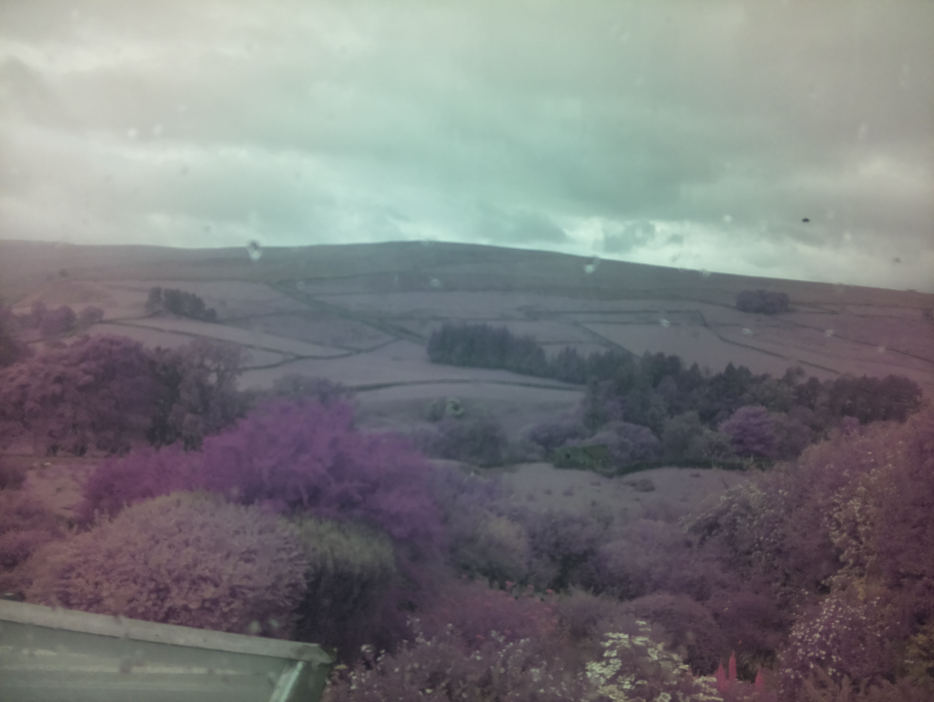 raspi webcam photo