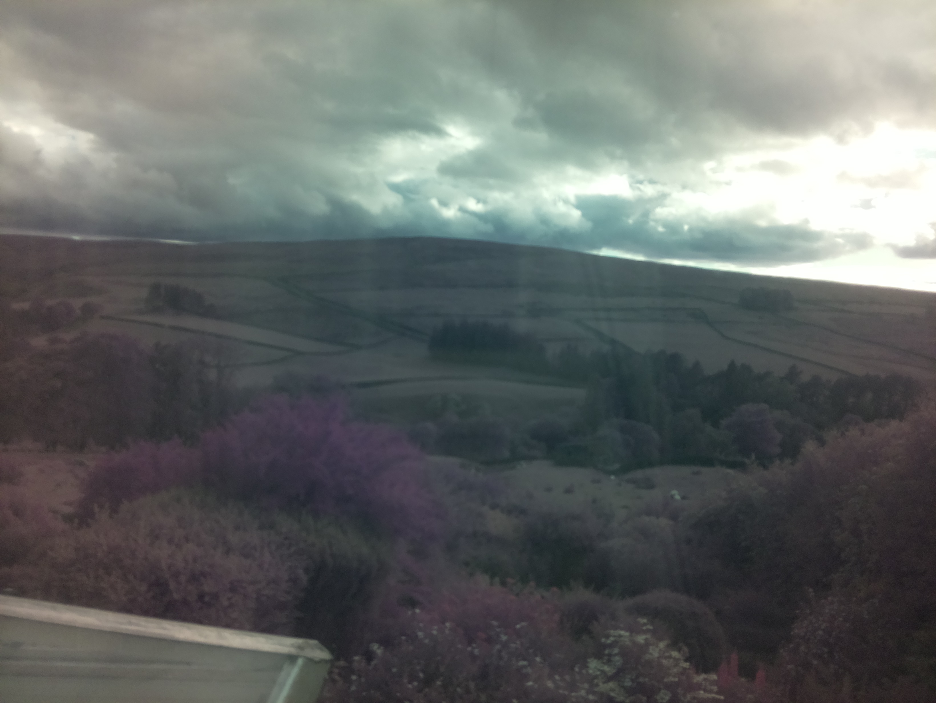 raspi webcam photo