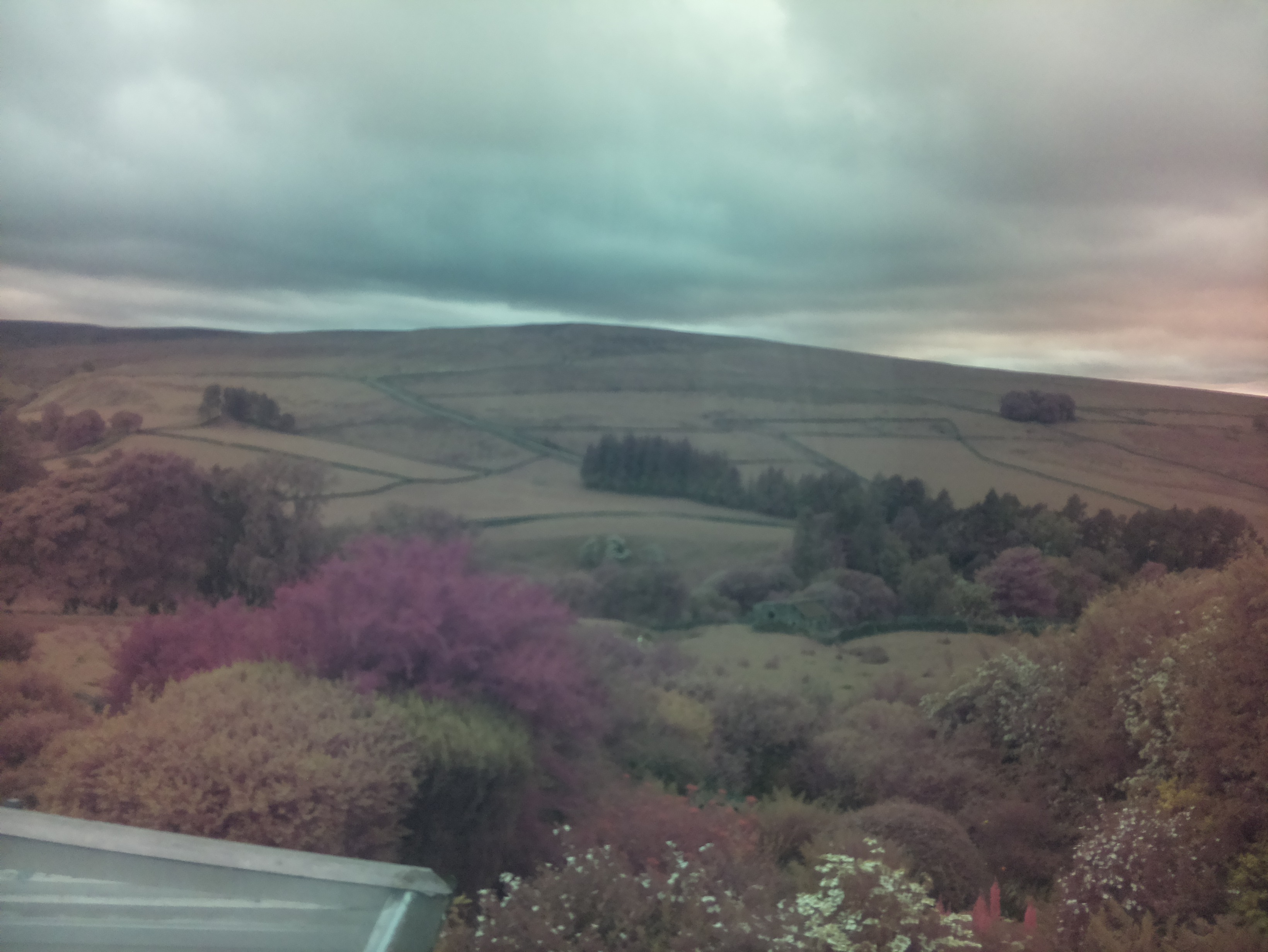 raspi webcam photo