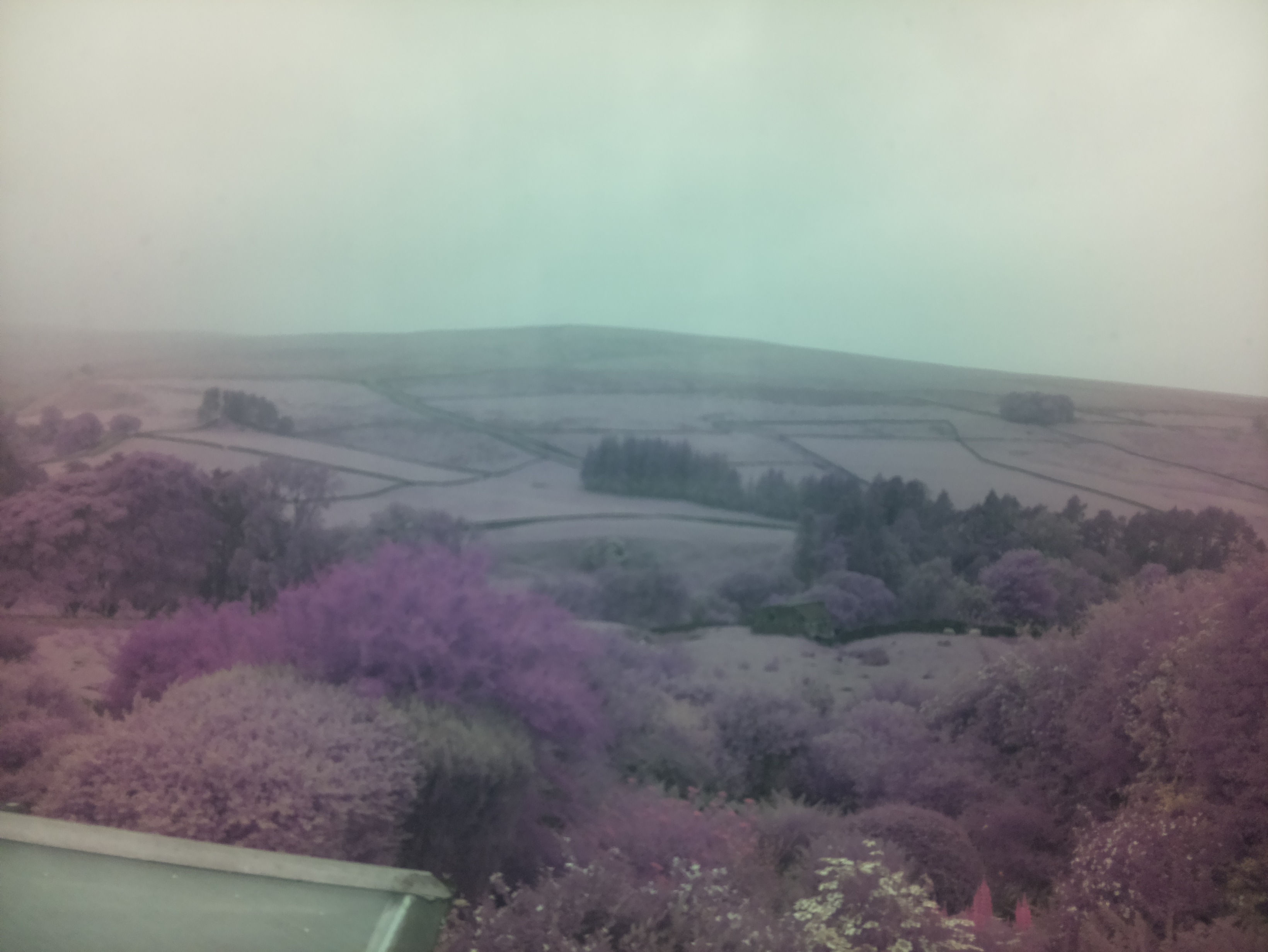 raspi webcam photo