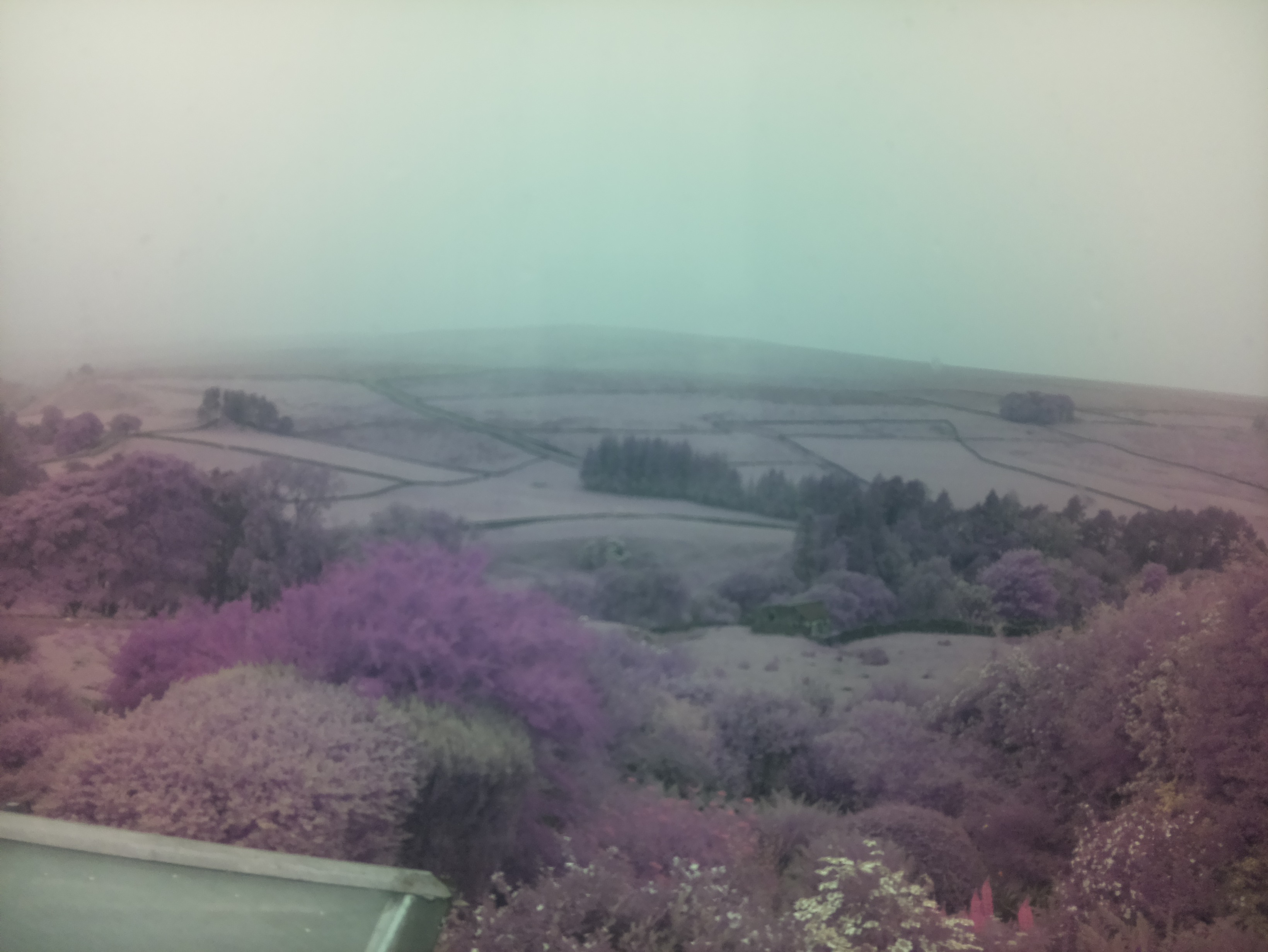 raspi webcam photo