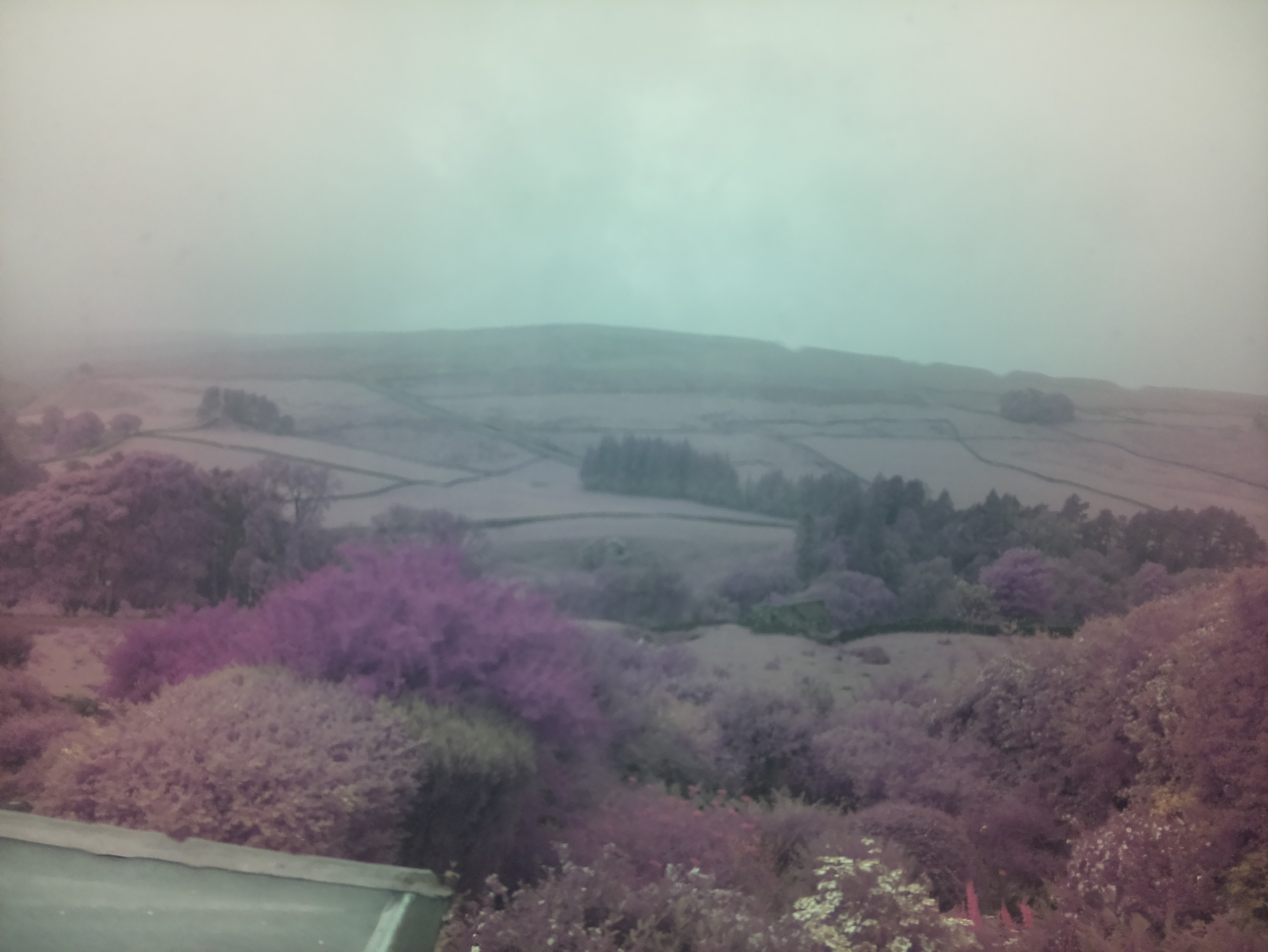 raspi webcam photo