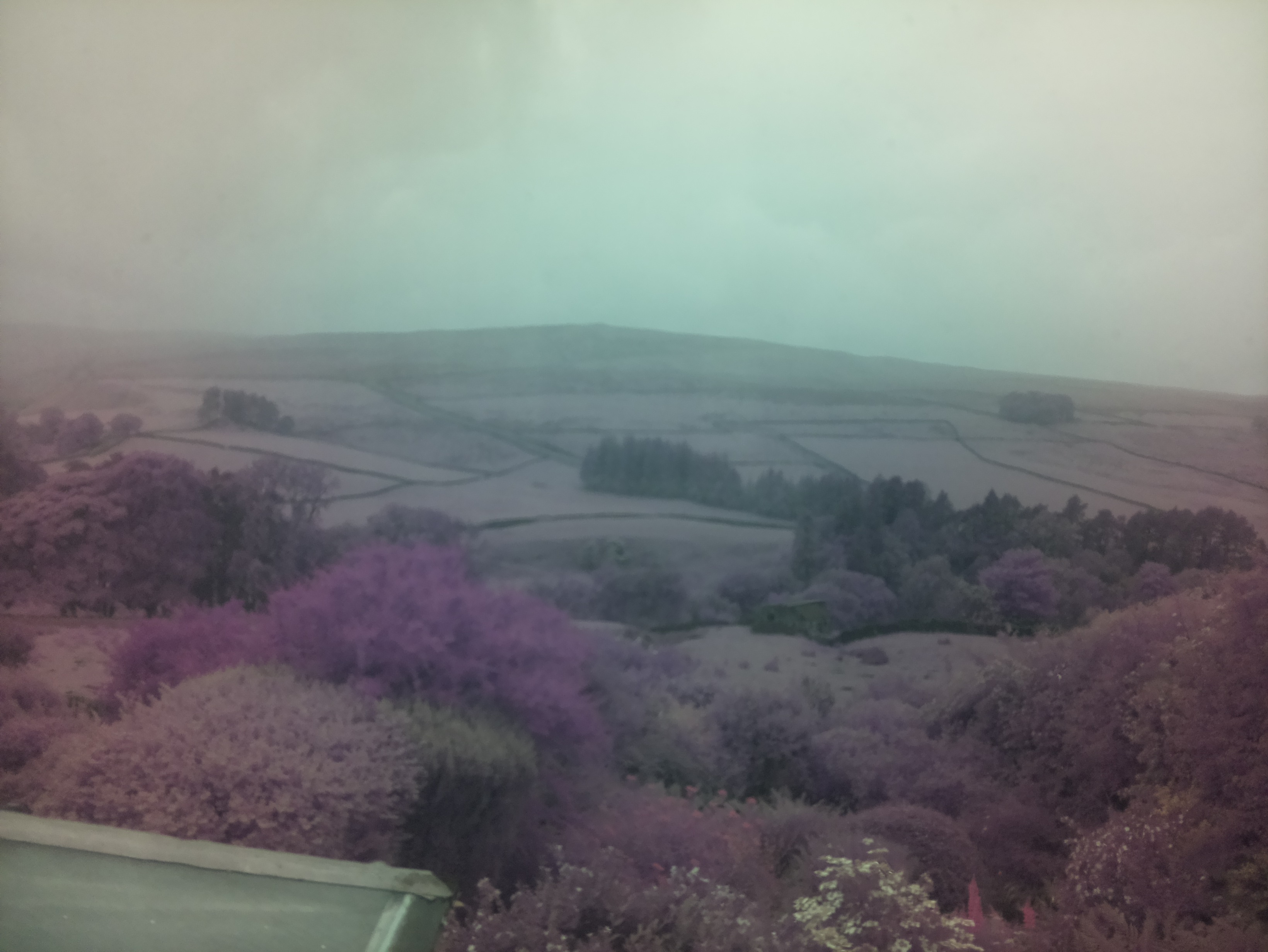 raspi webcam photo