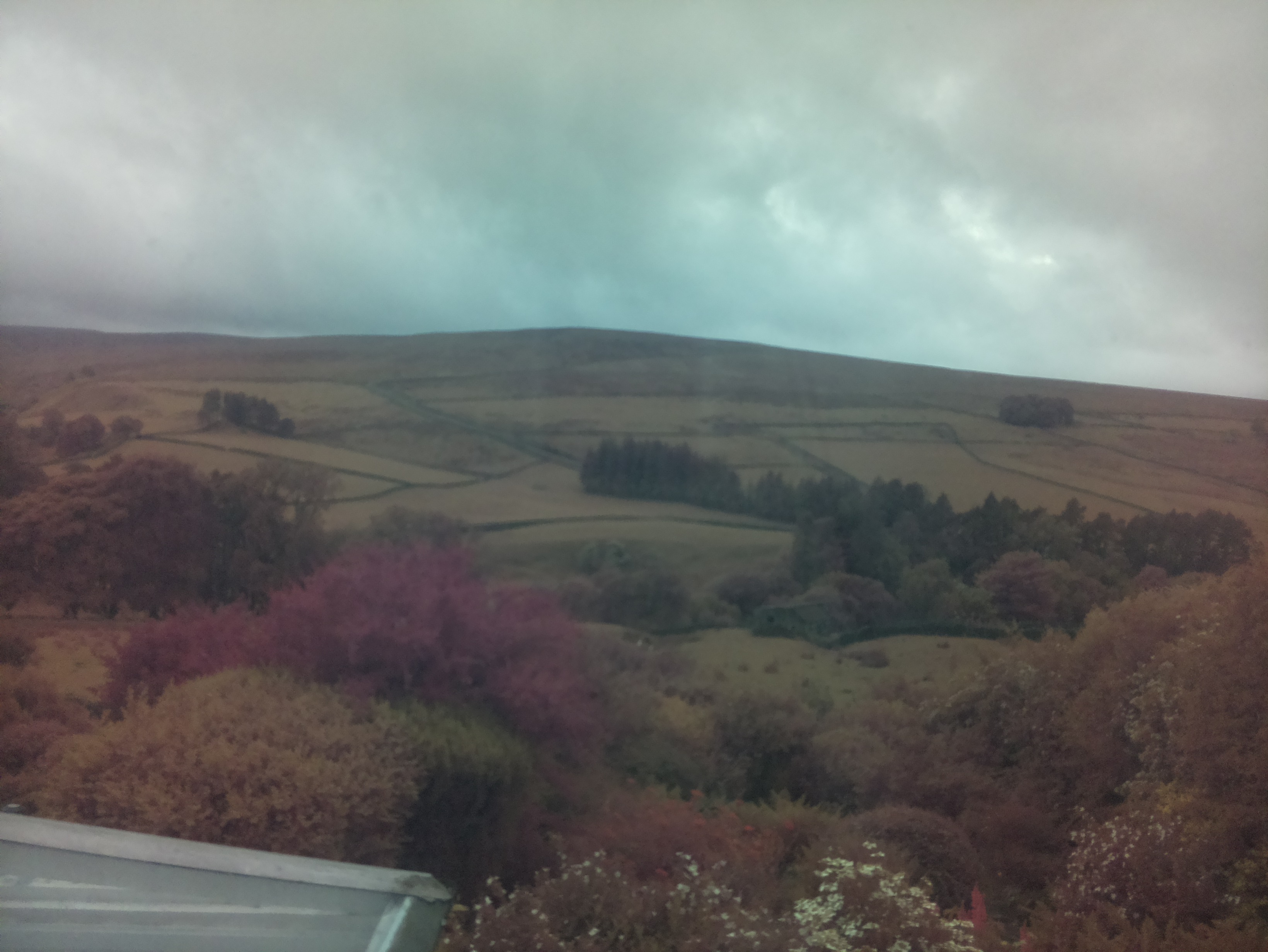 raspi webcam photo