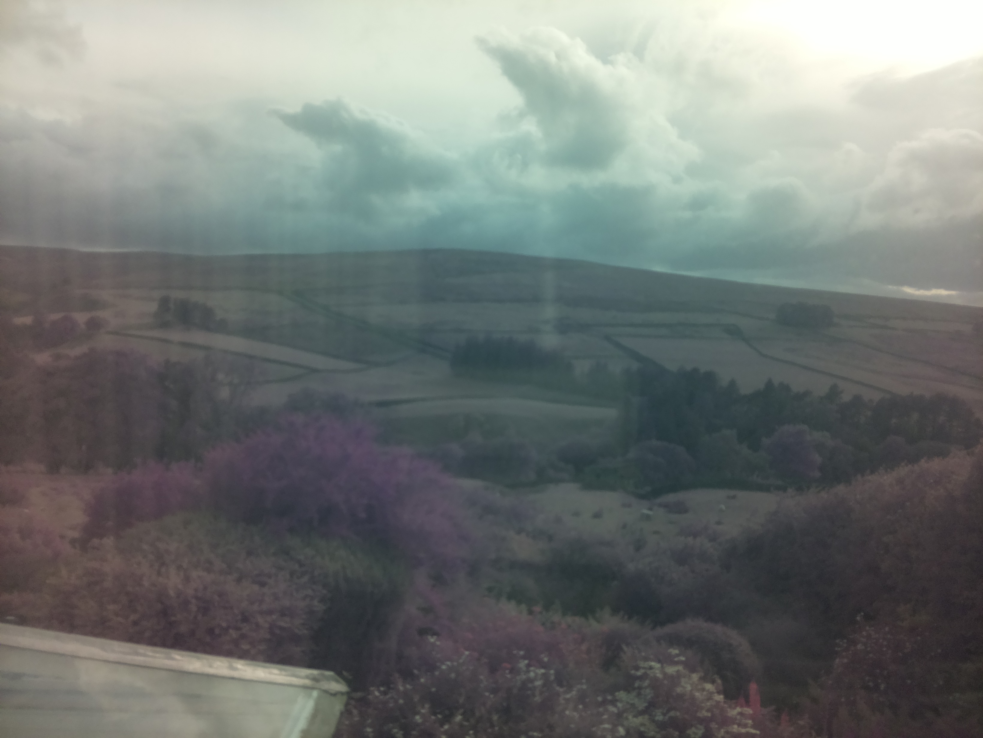 raspi webcam photo
