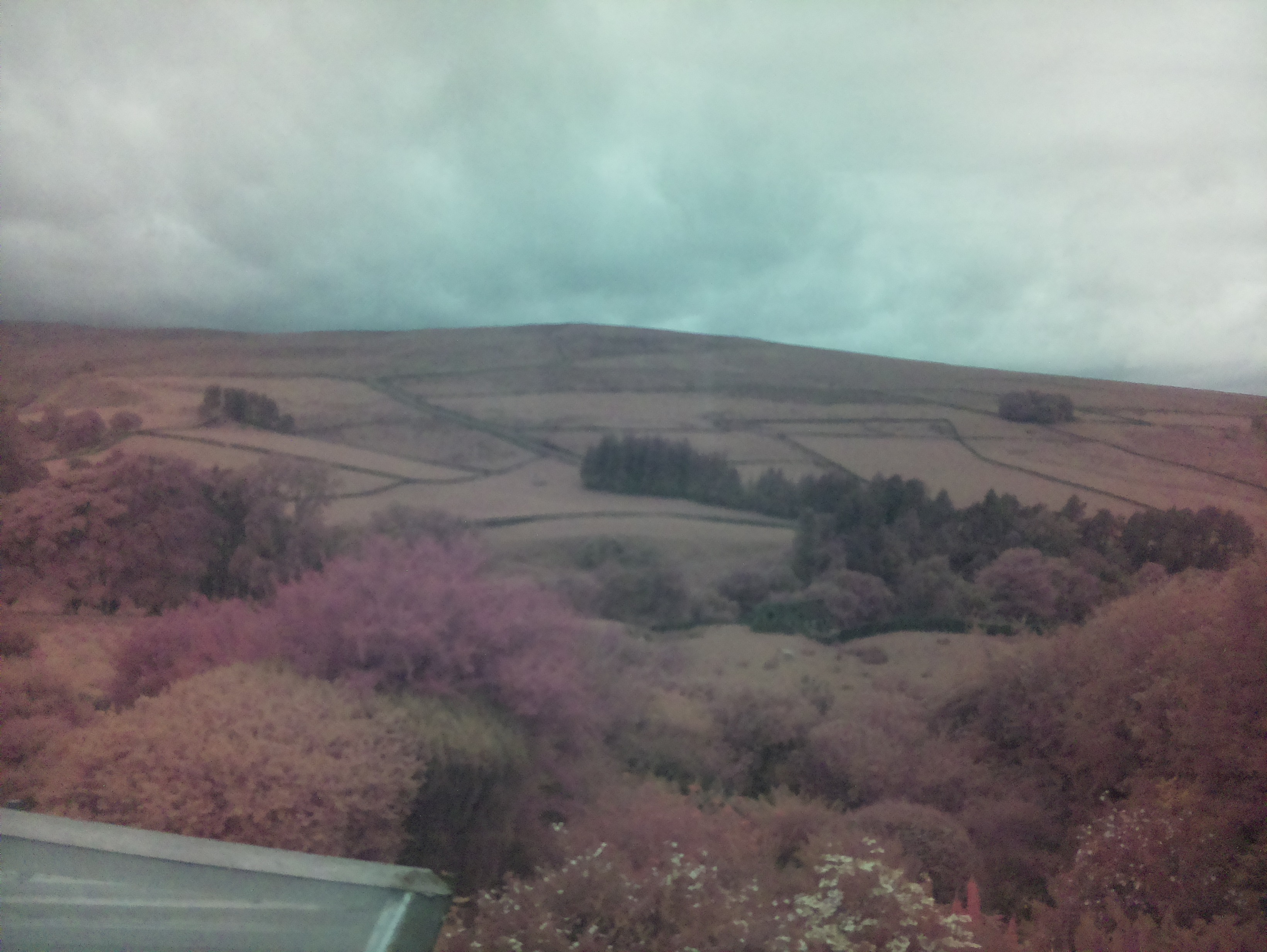 raspi webcam photo