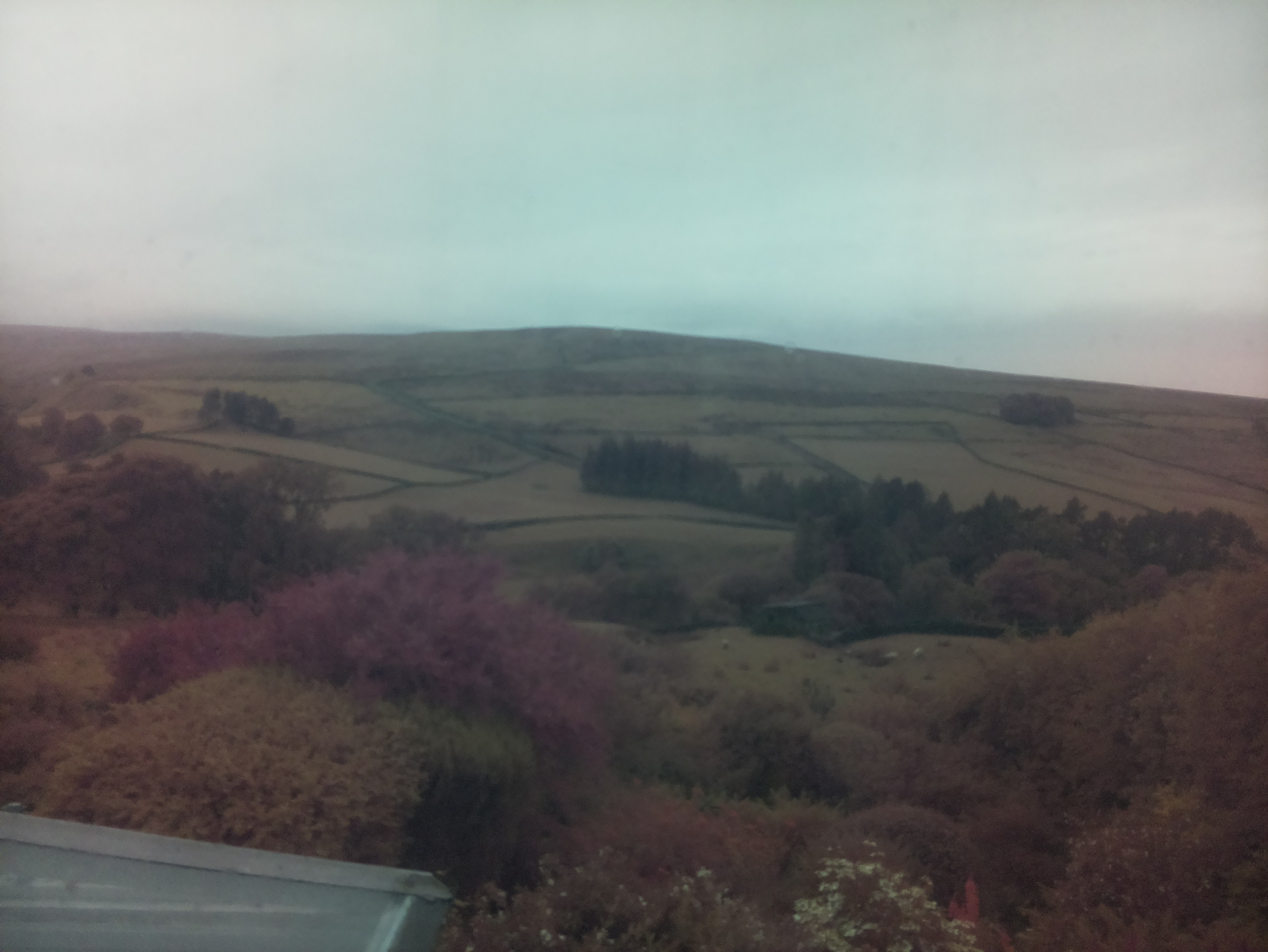 raspi webcam photo