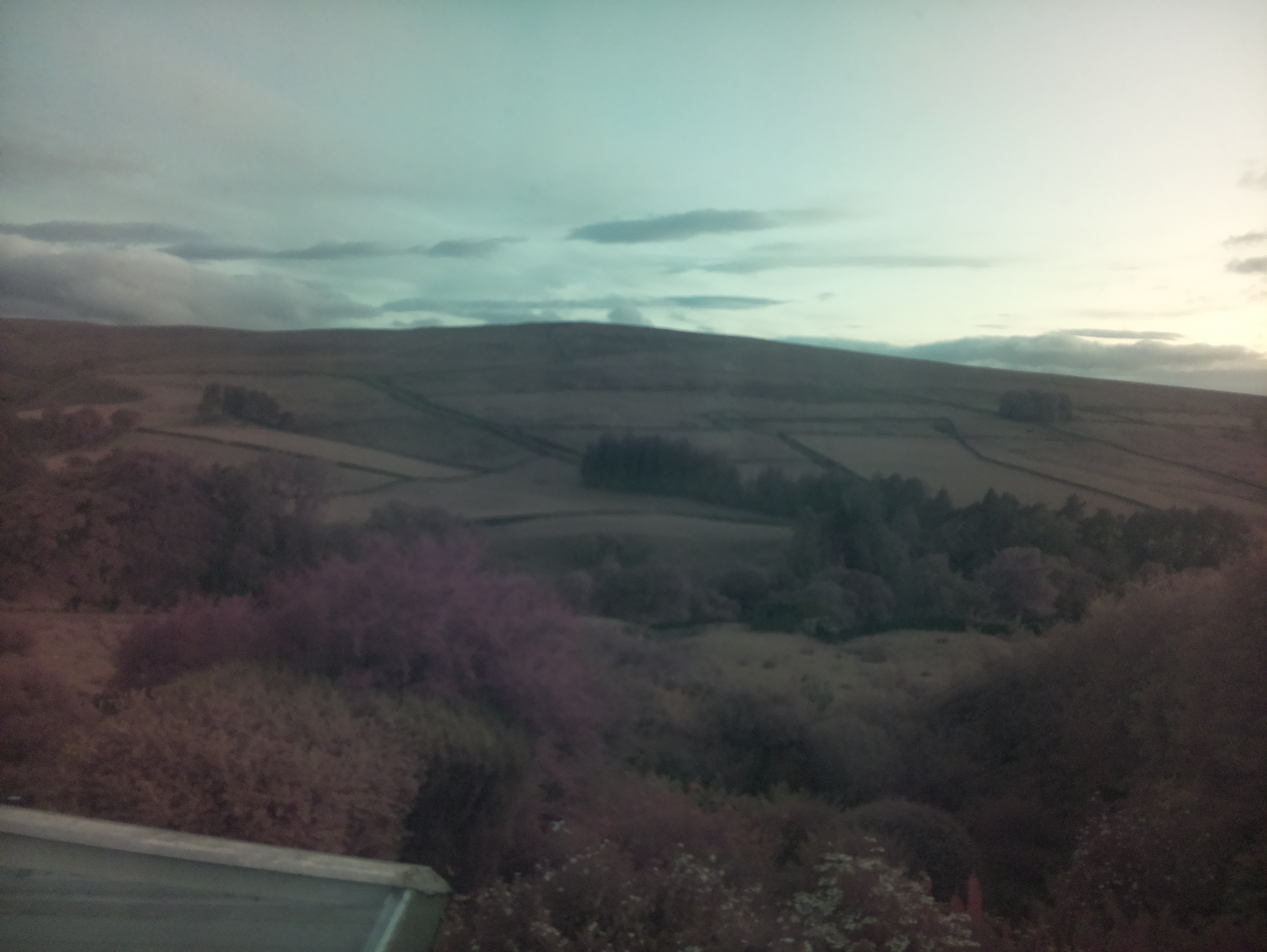 raspi webcam photo